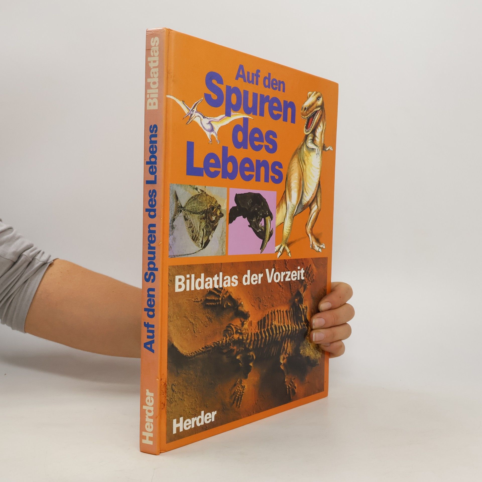 Paolo Arduini Auf den Spuren des Lebens