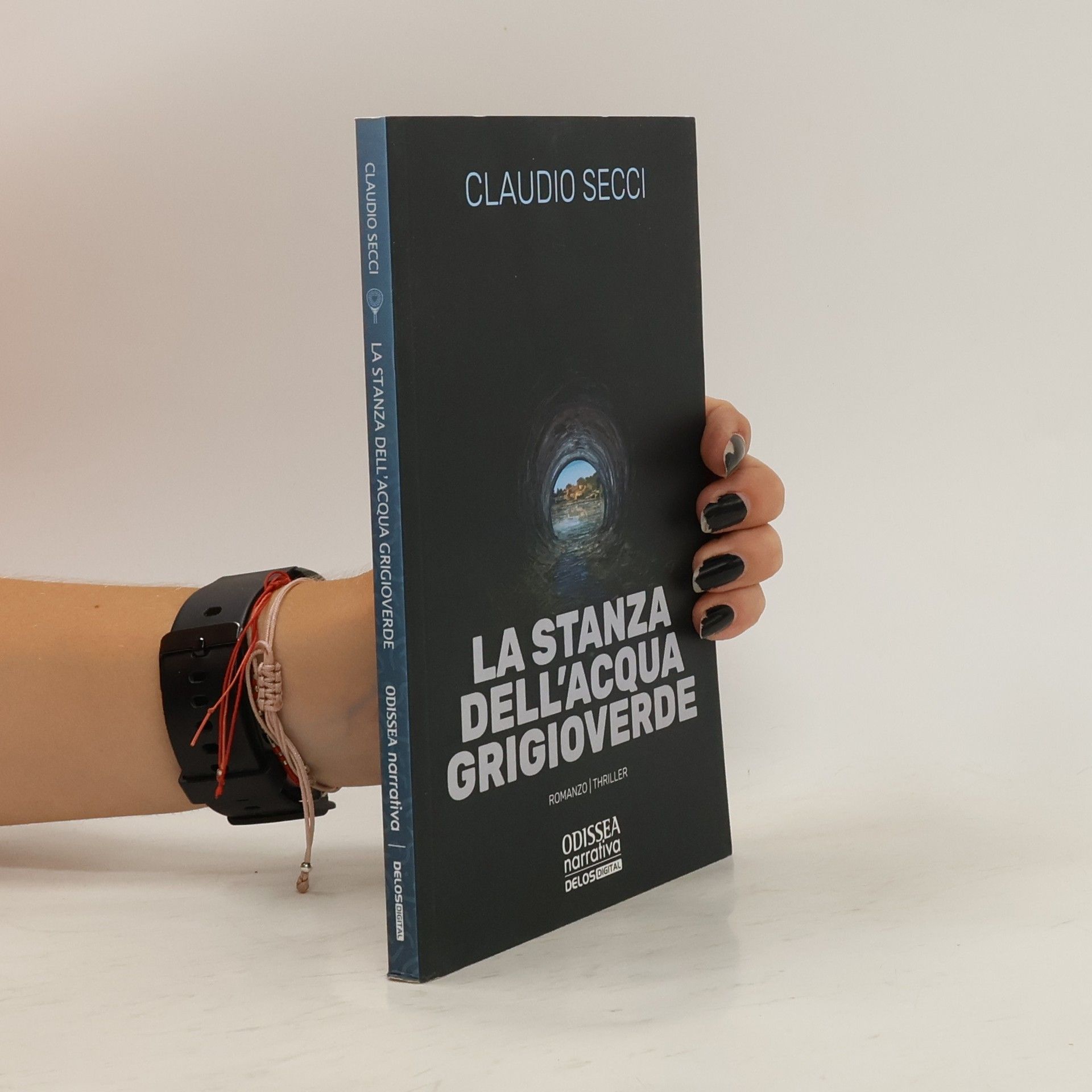 Claudio Secci La stanza dell'acqua grigioverde