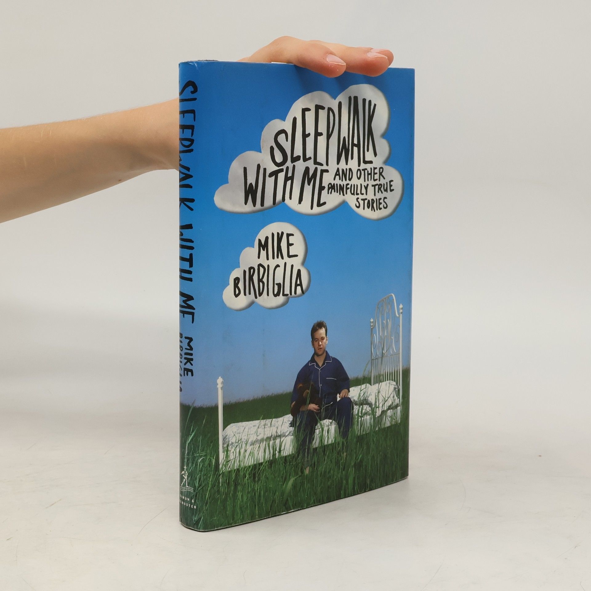 Mike Birbiglia Sleepwalk With Me and Other Painfully True Stories
