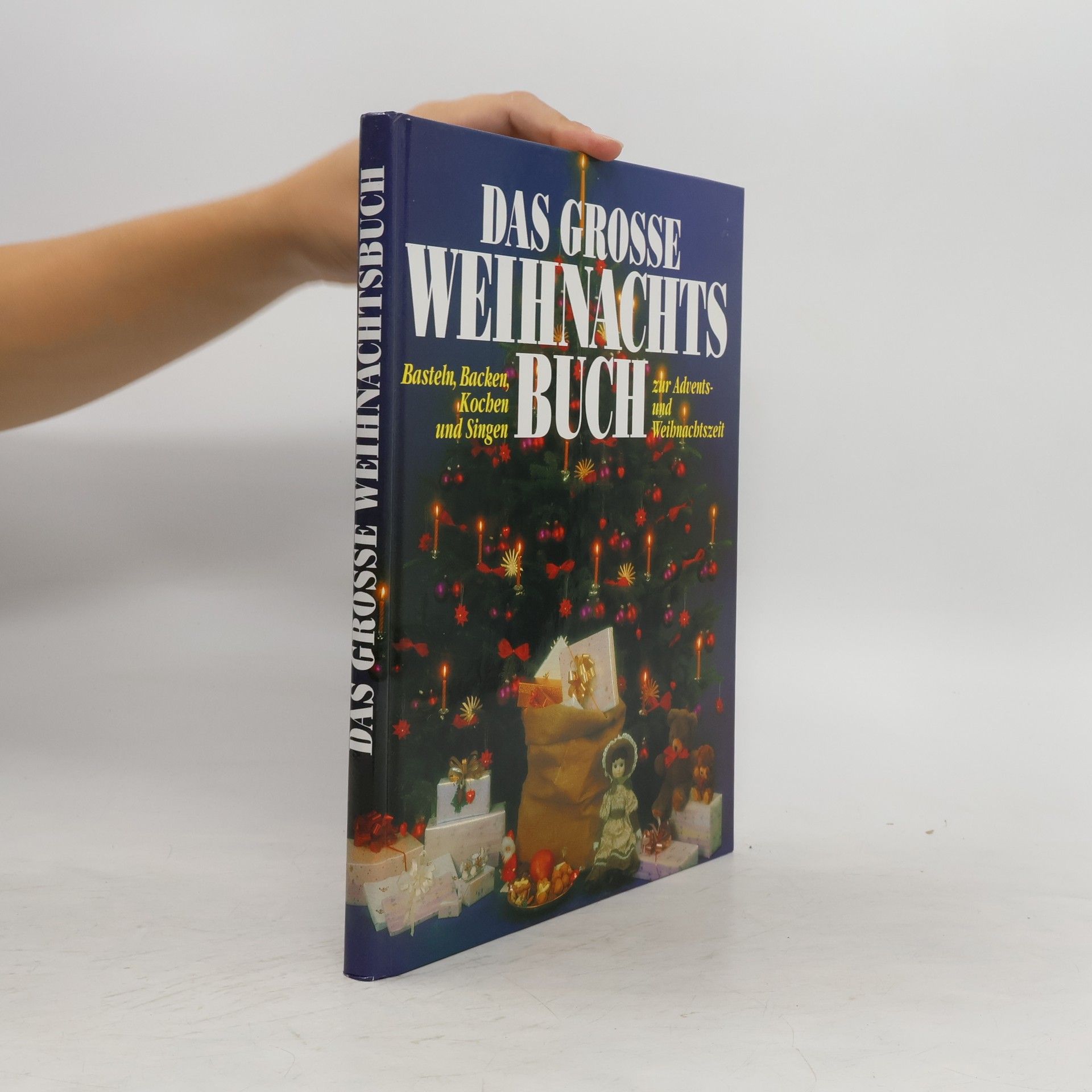 Collectif d'auteurs Das grosse Weihnachts Buch