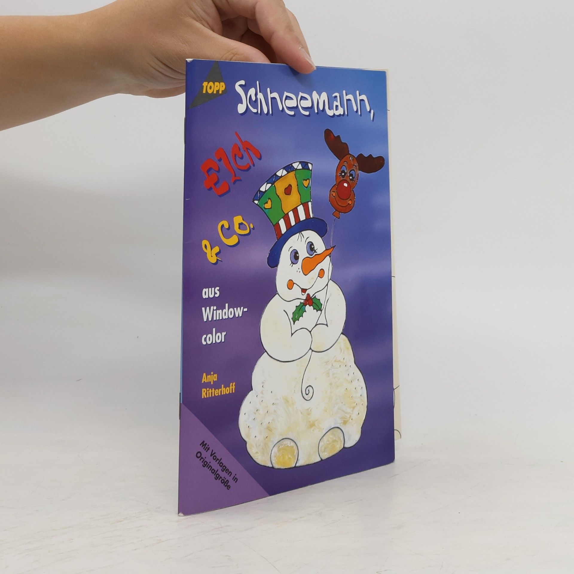 Kolektiv autorů Schneemann, Elch & Co. aus Windowcolor