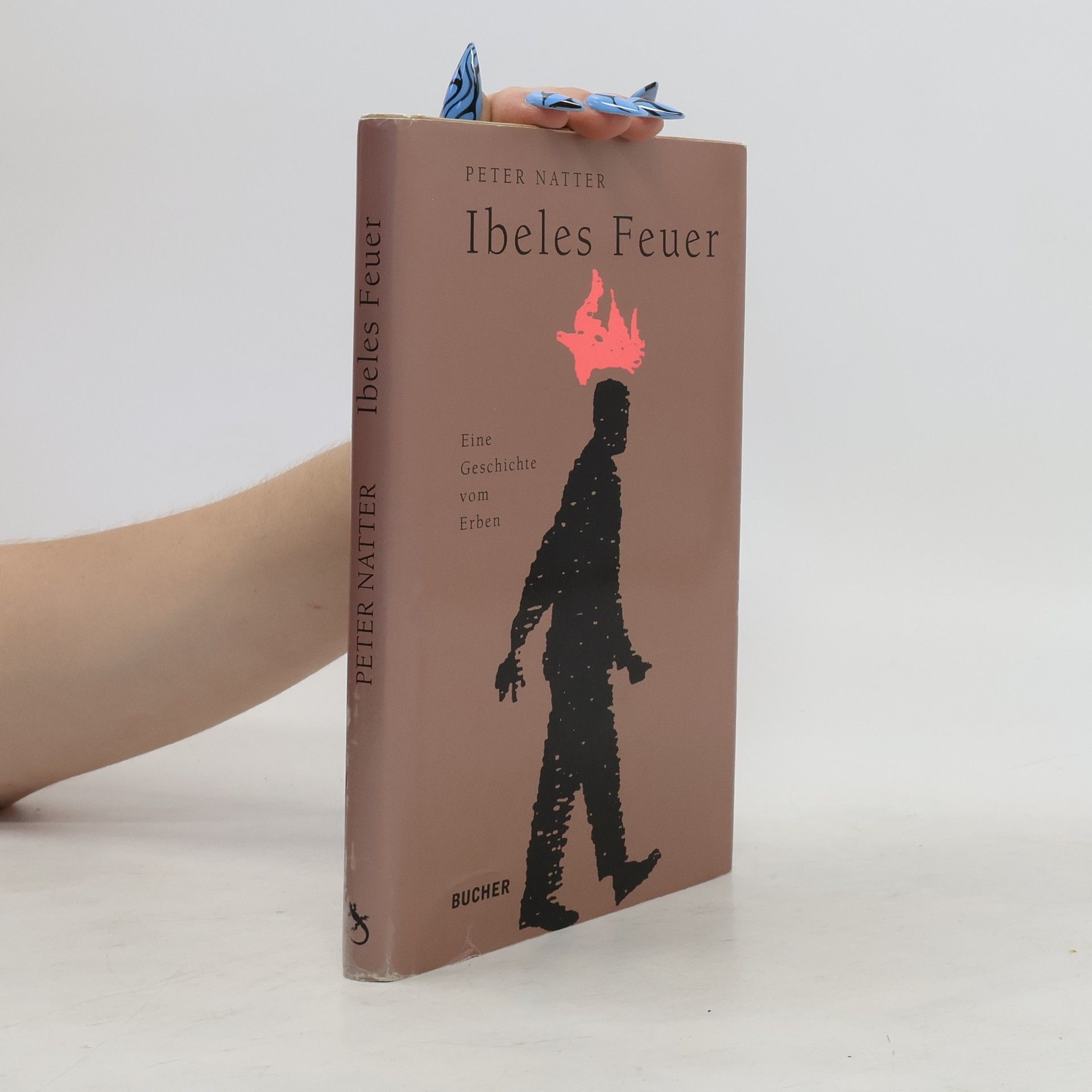 Peter Natter Ibeles Feuer