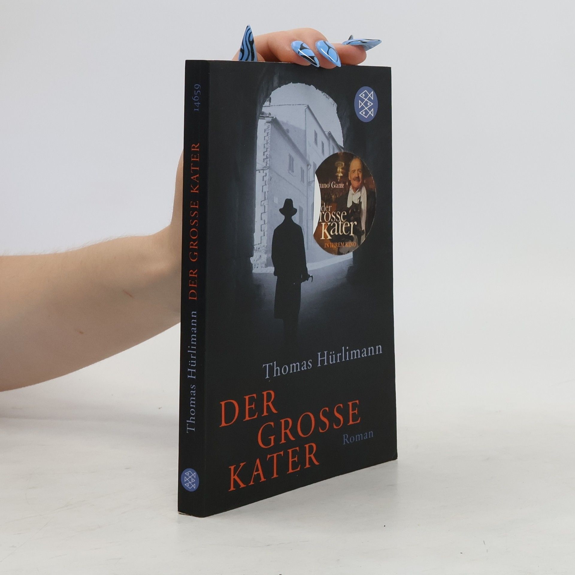 Thomas Hürlimann Der grosse Kater