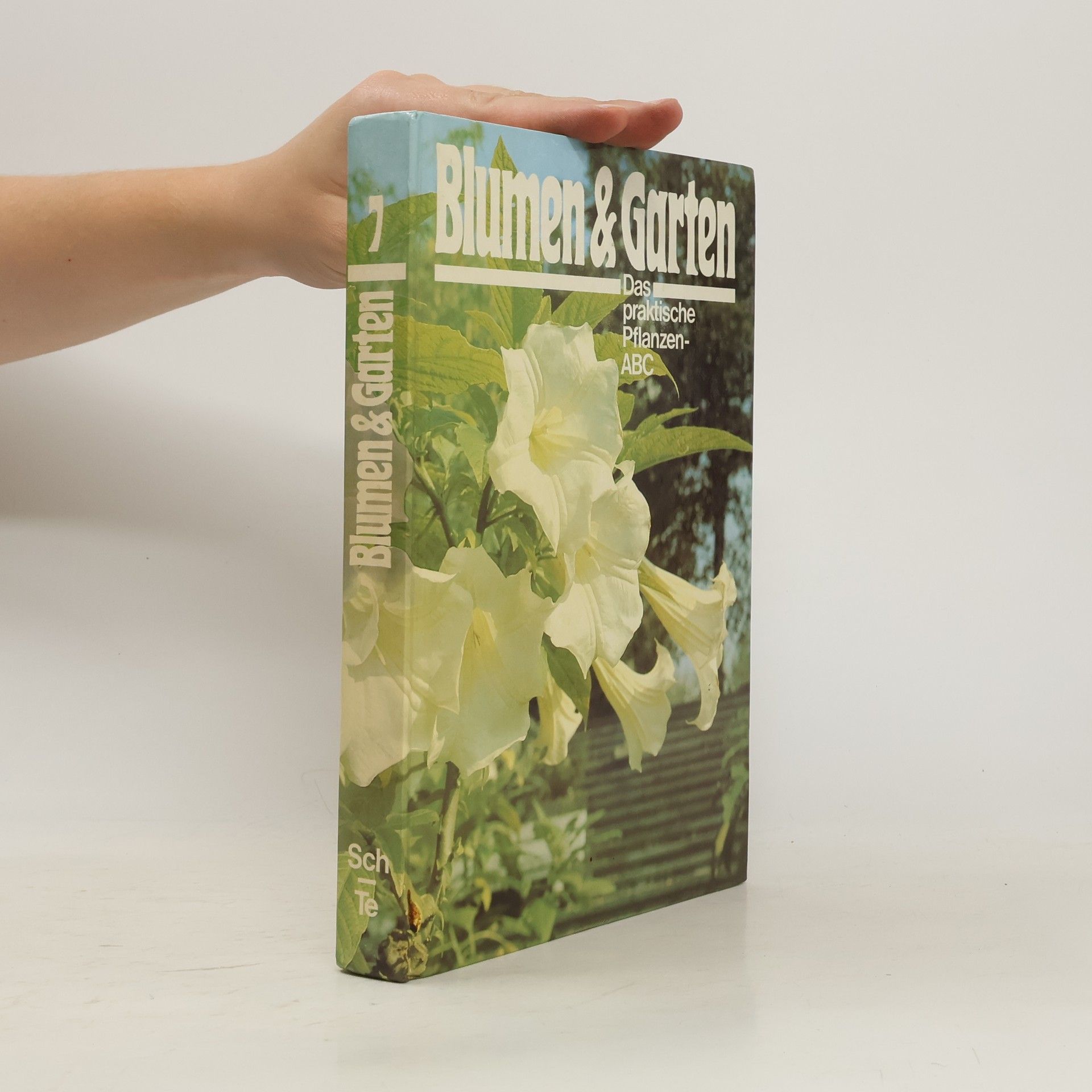 Autorenkollektiv Blumen & Garten 7. Das praktische Pflanzen-ABC