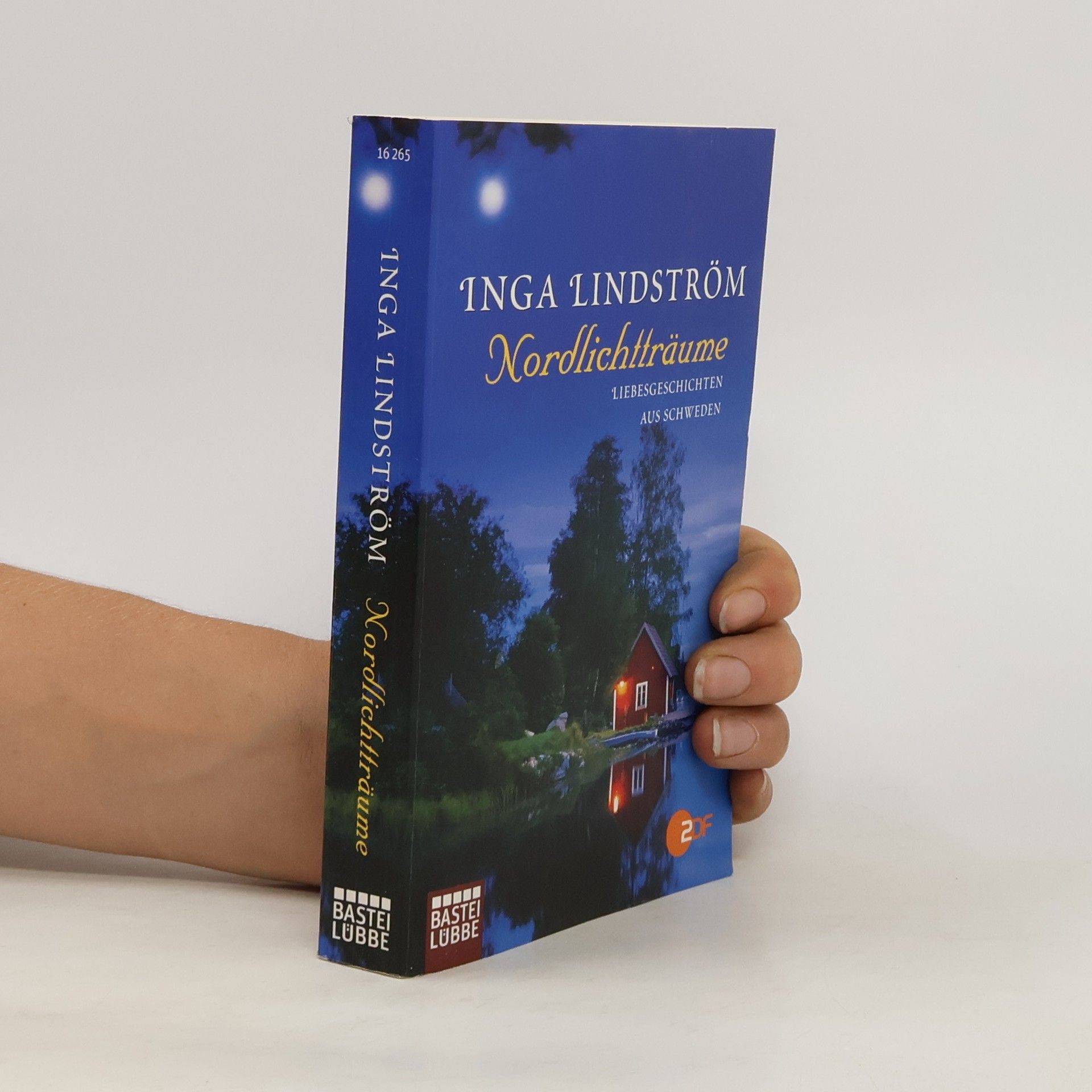 Inga Lindström Nordlichtträume