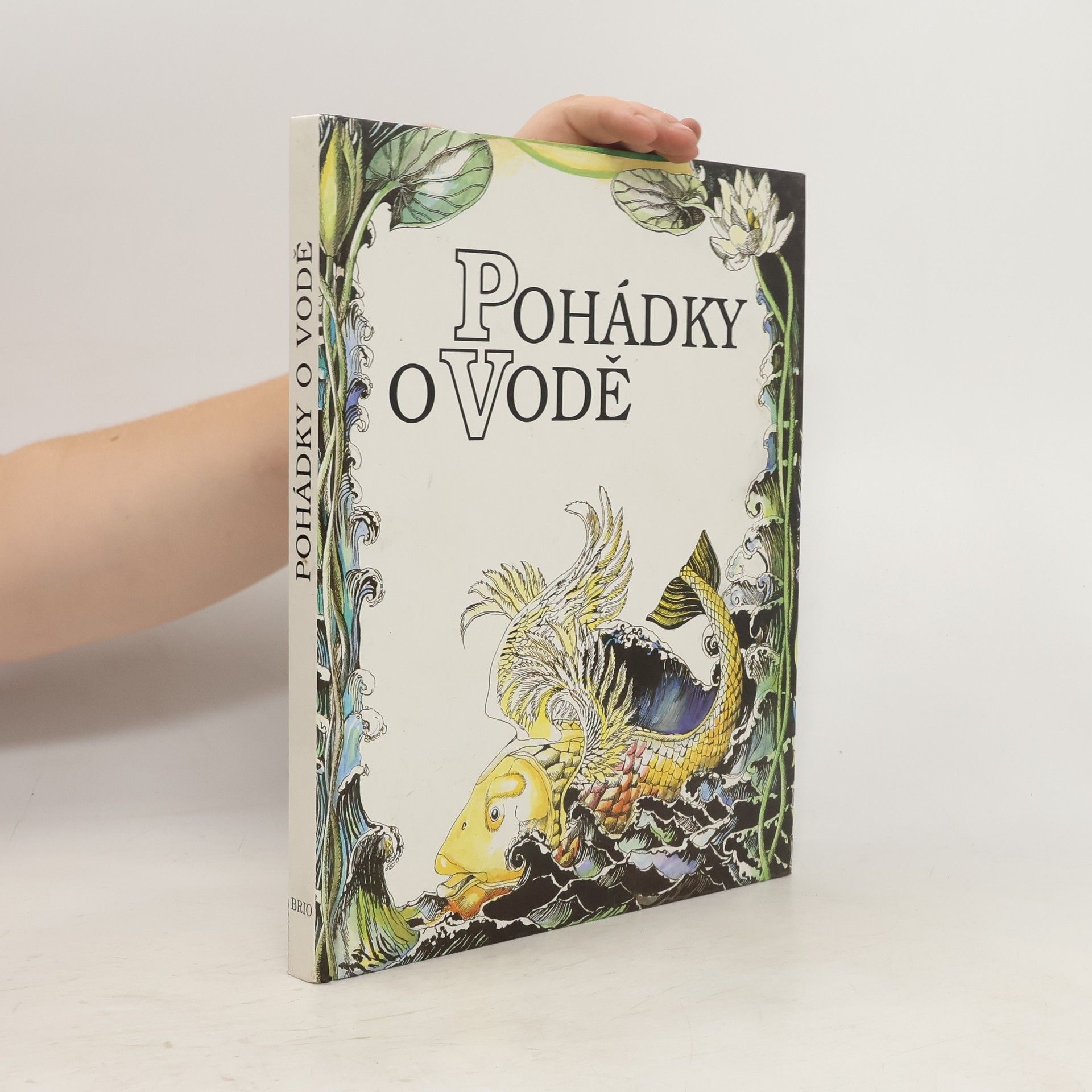 Martina Drijverová Pohádky o vodě