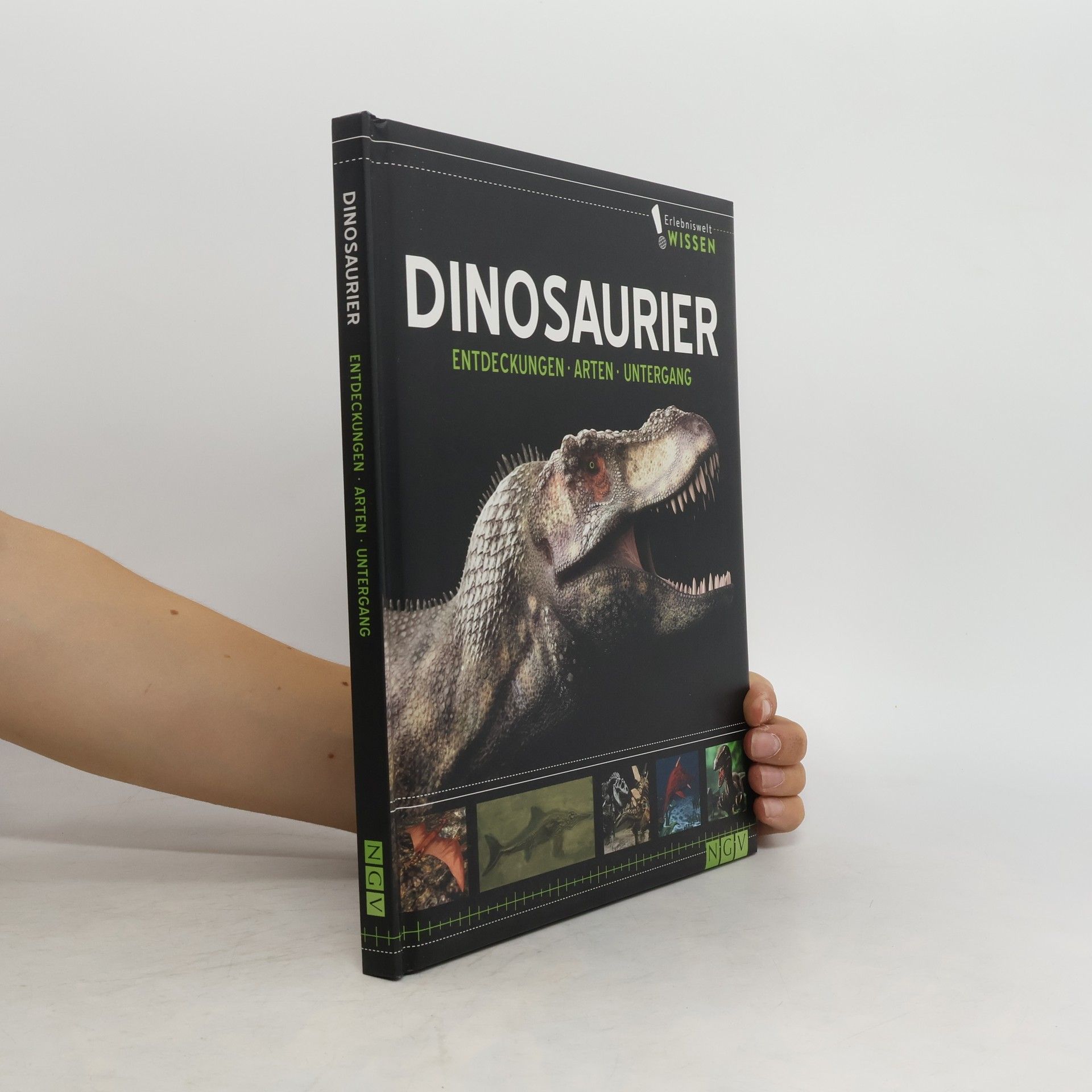 Autorenkollektiv Dinosaurier