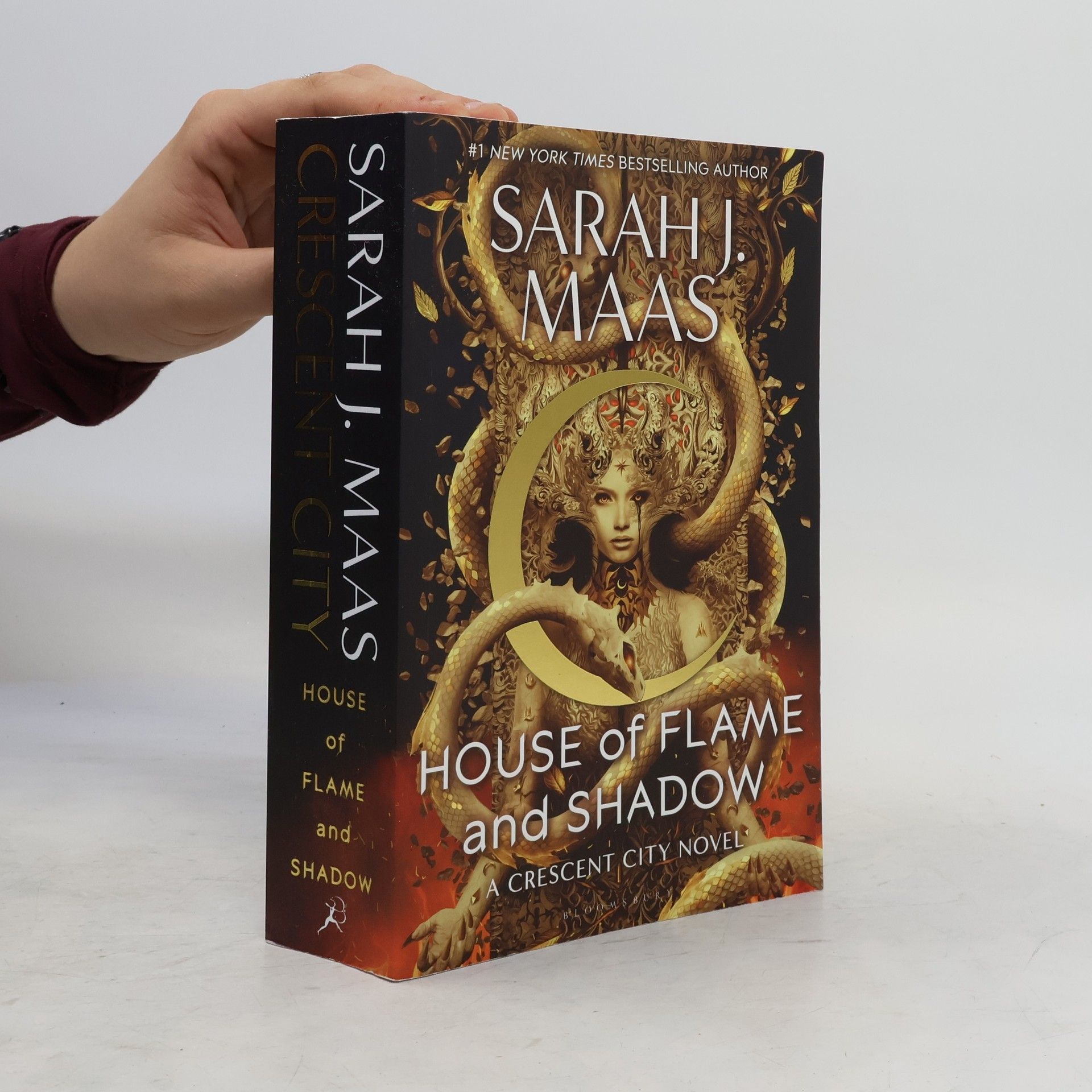 Sarah J. Maas House of Flame and Shadow