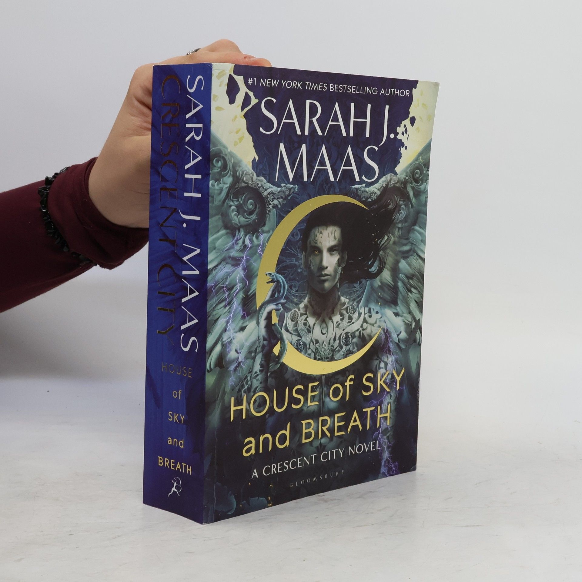 Sarah J. Maas House of sky and breath