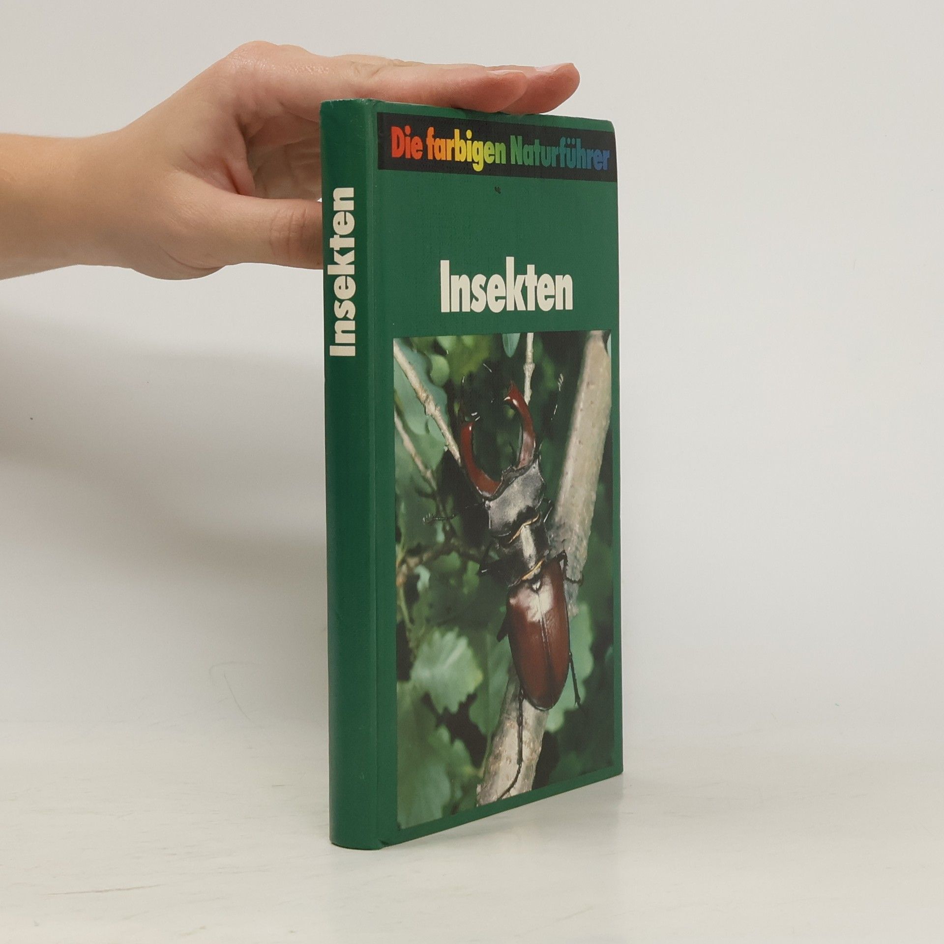 Autorenkollektiv Insekten