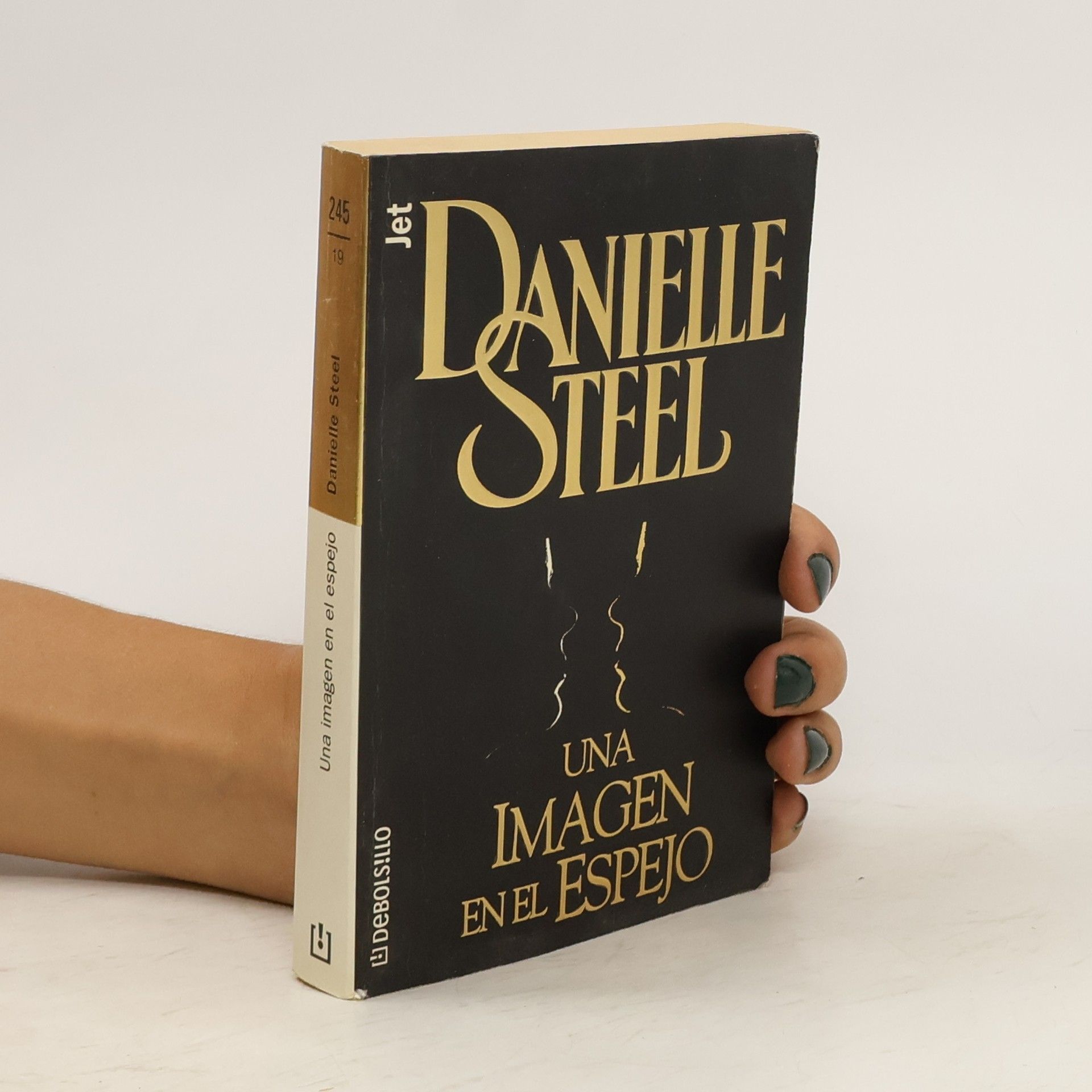 Danielle Steel Una imagen en el espejo