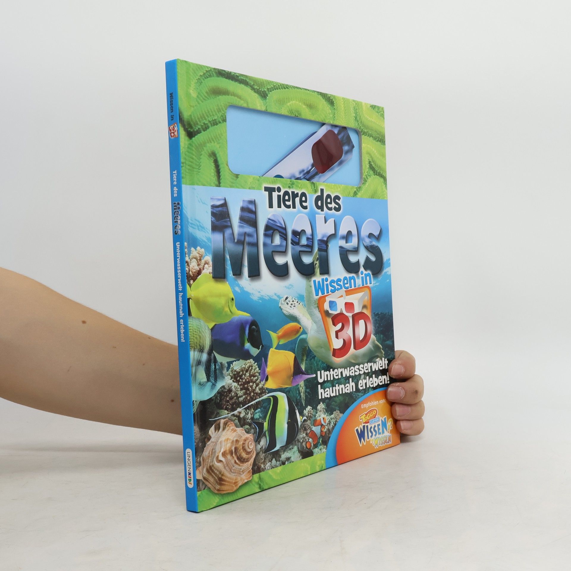 Autorenkollektiv Tiere des Meeres