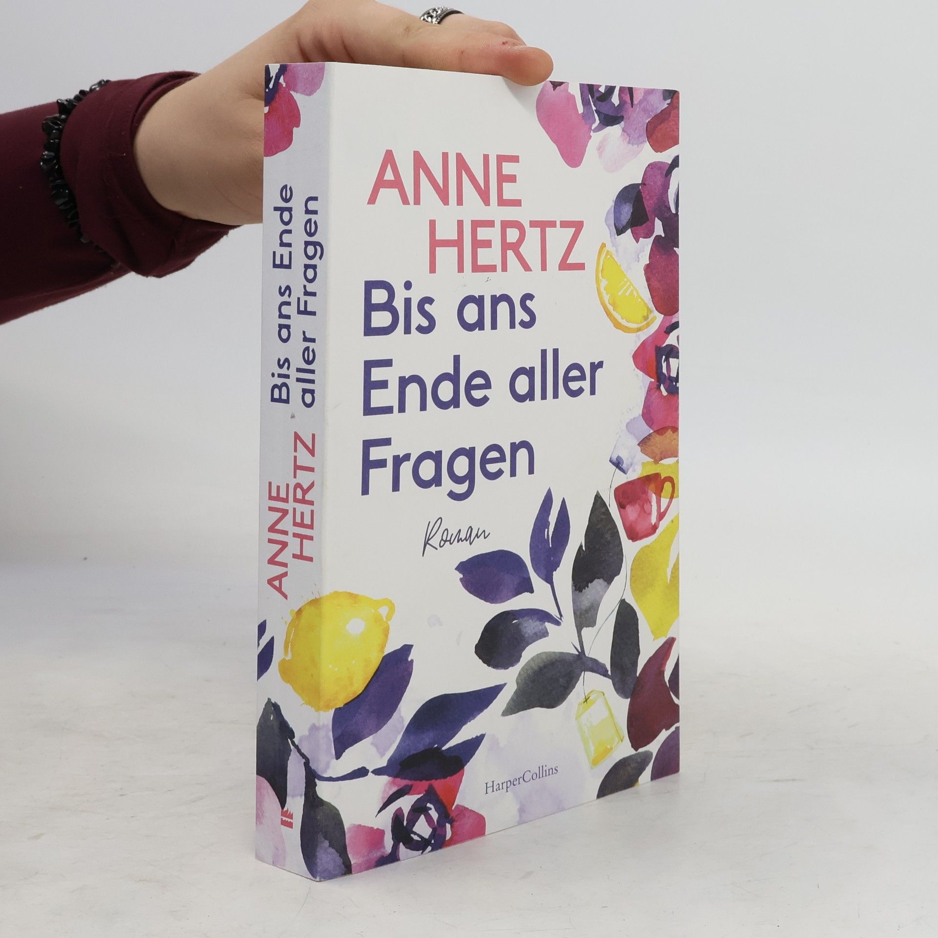 Anne Hertz Bis ans Ende aller Fragen