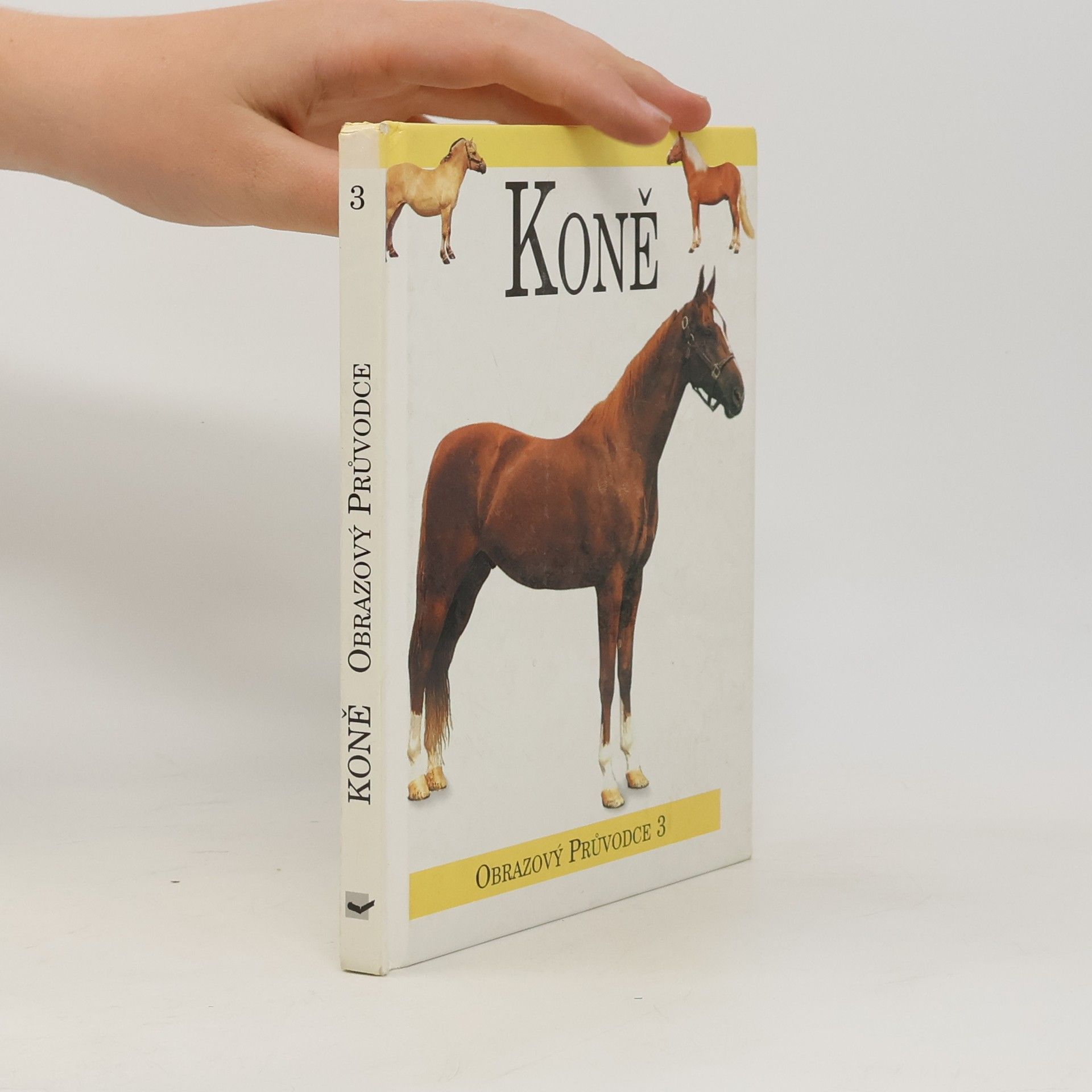 Magdalena Pechová Koně