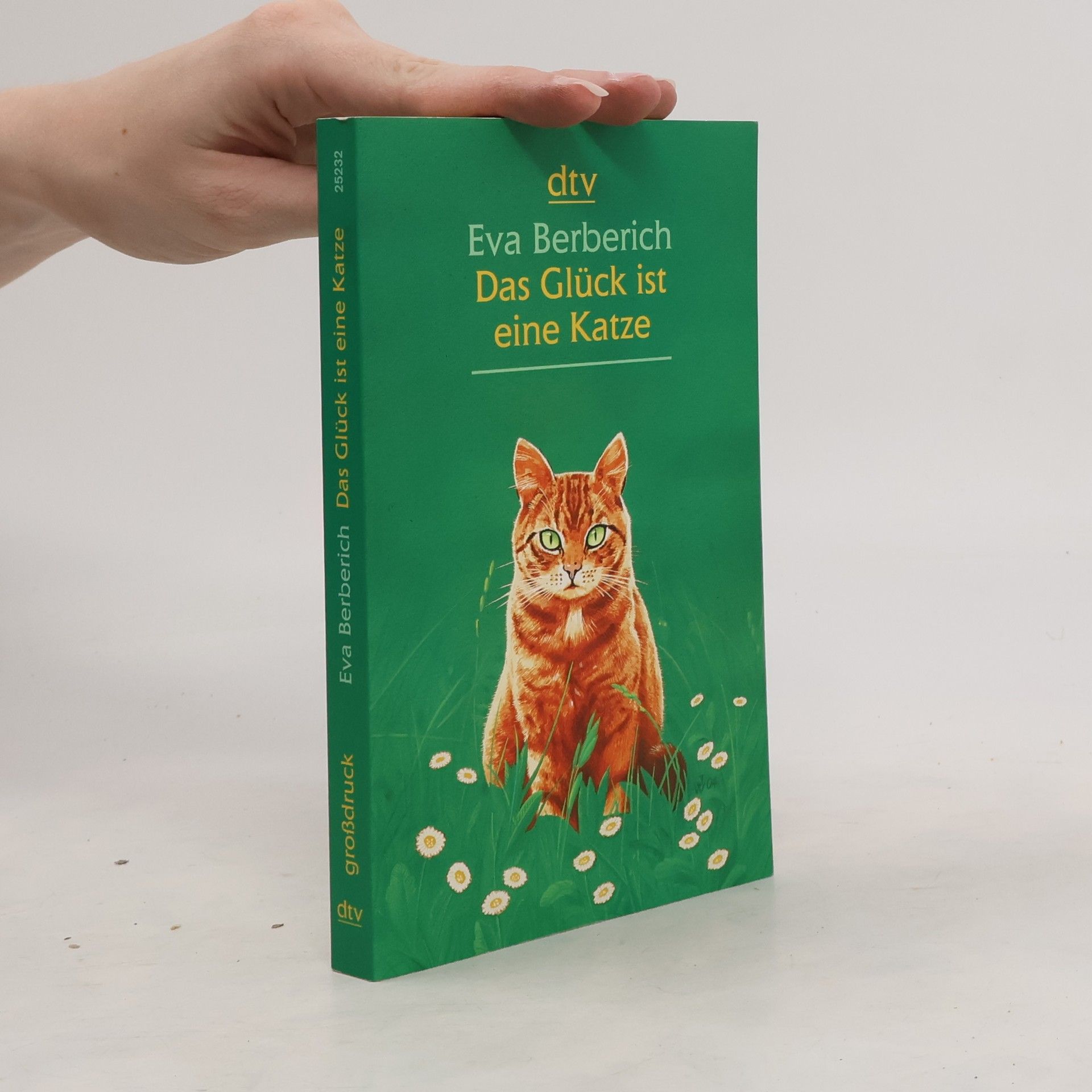 Eva Berberich Das Glück ist eine Katze