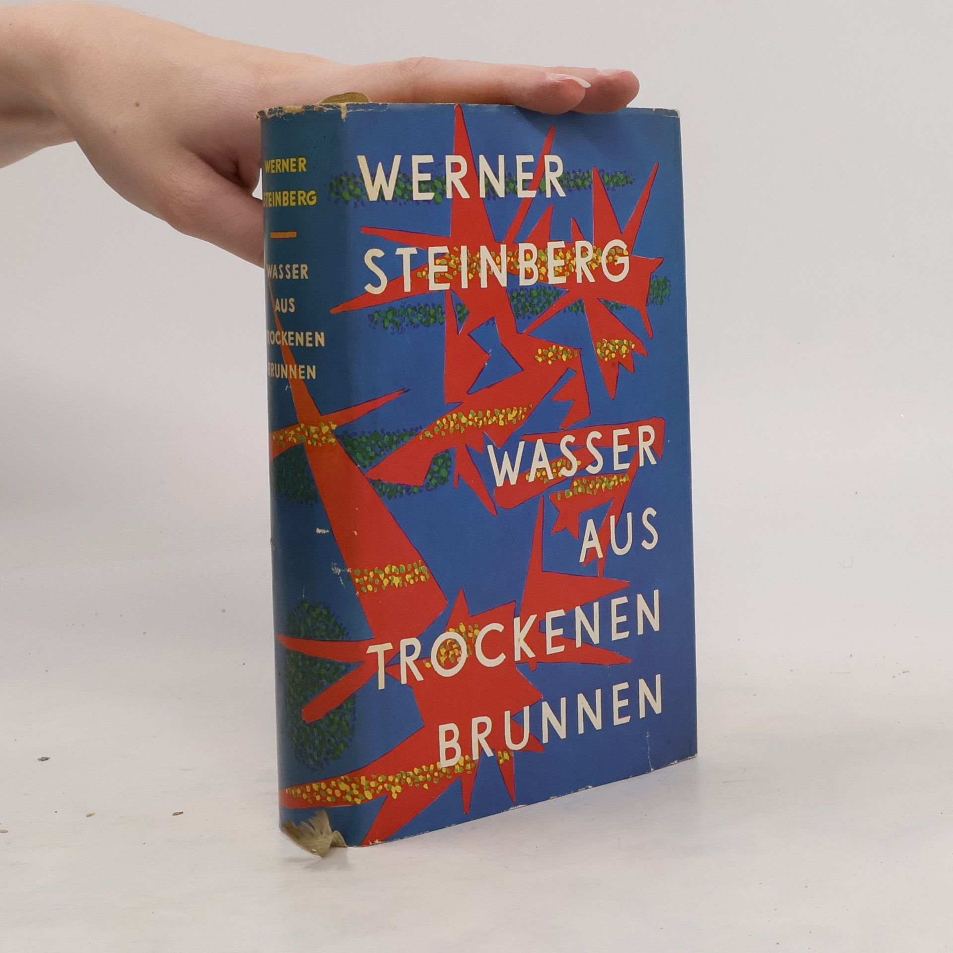 Werner Steinberg Wasser aus trockenen Brunnen