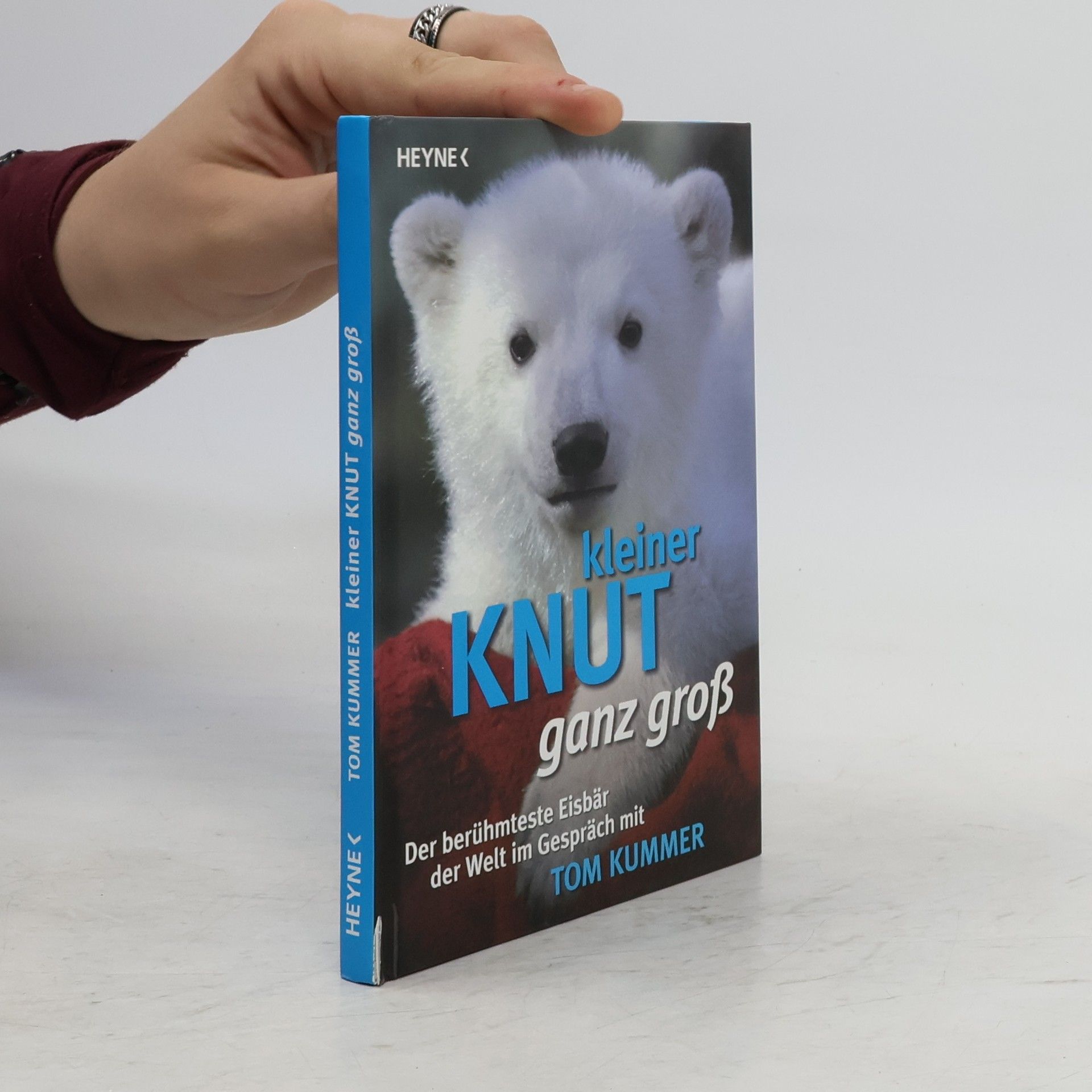 Tom Kummer Kleiner Knut ganz groß