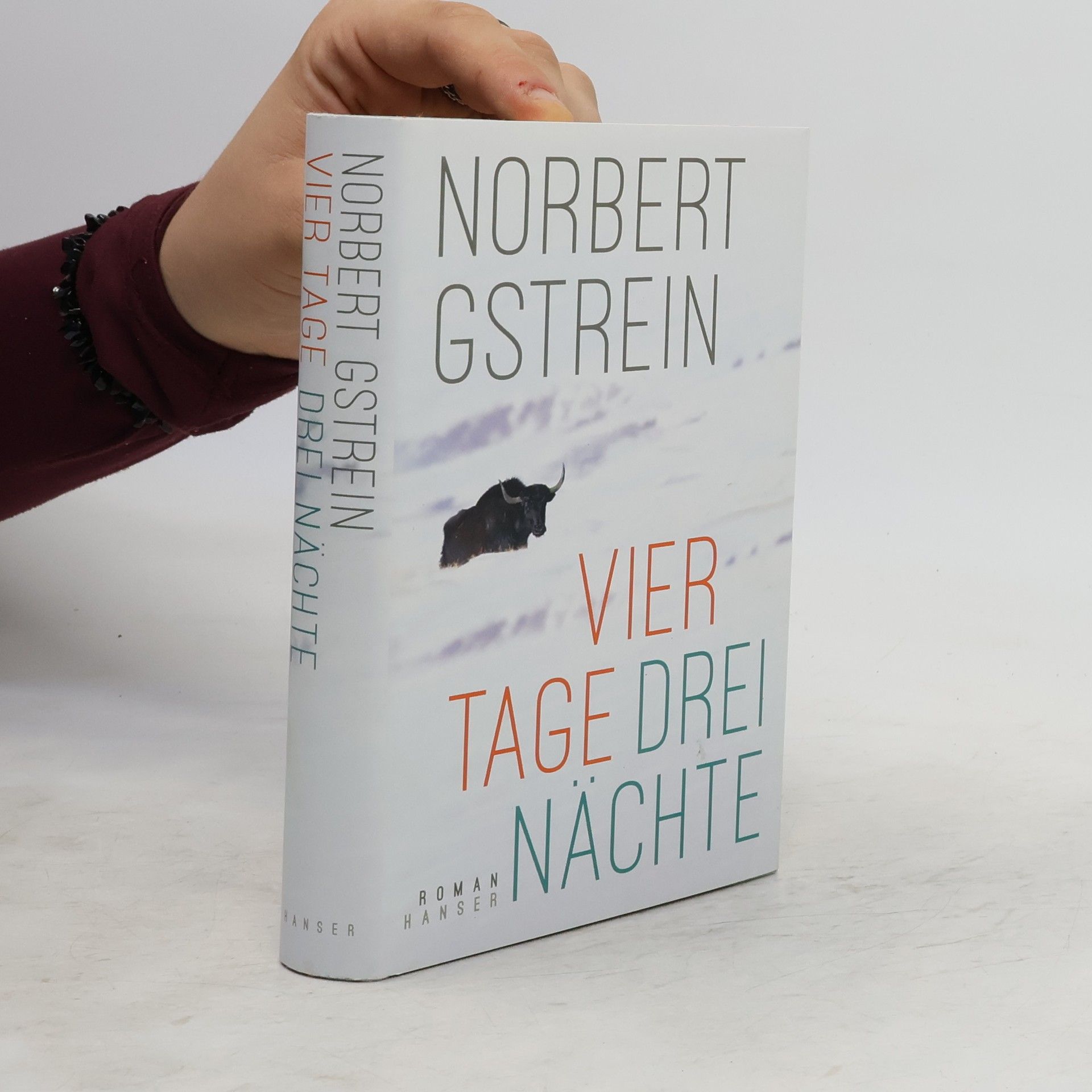 Norbert Gstrein Vier Tage, drei Nächte