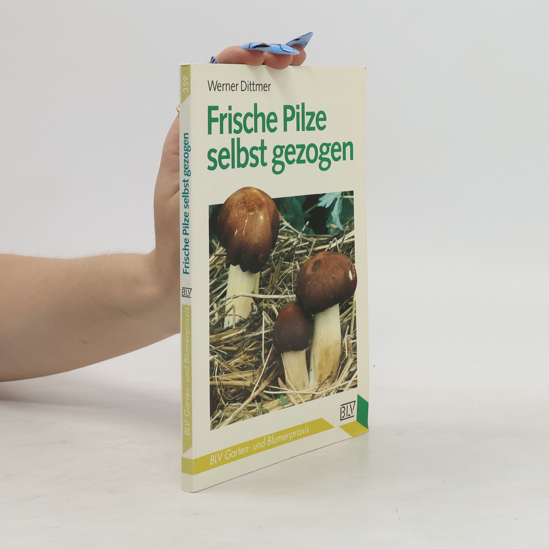 Werner Dittmer Frische Pilze selbst gezogen