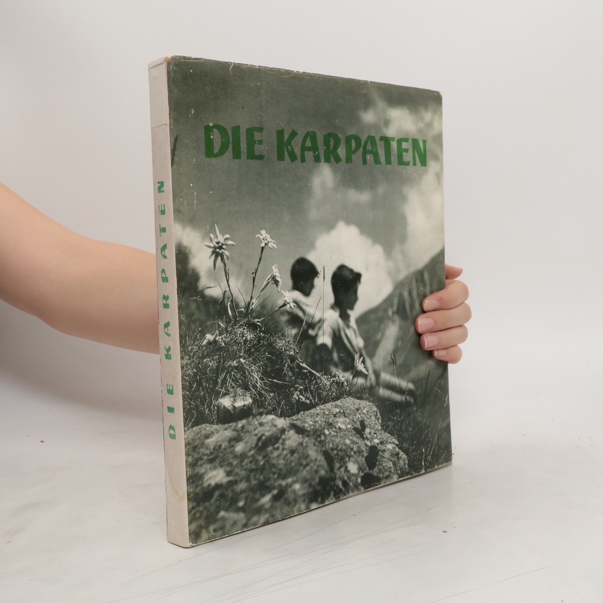 Various authors Landschaftsbilder aus Rumänien. Die Karpaten