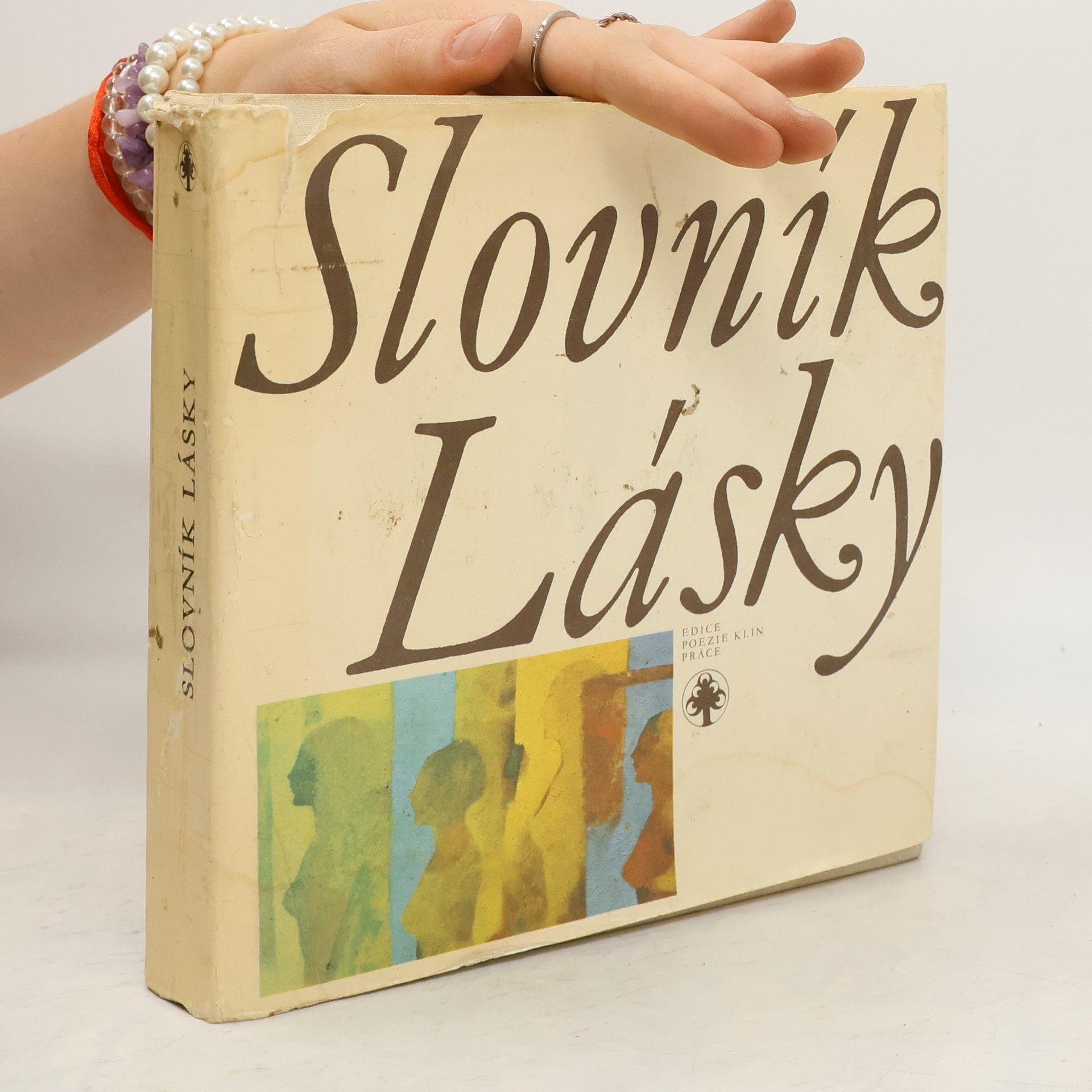 Kolektiv autorů Slovník lásky