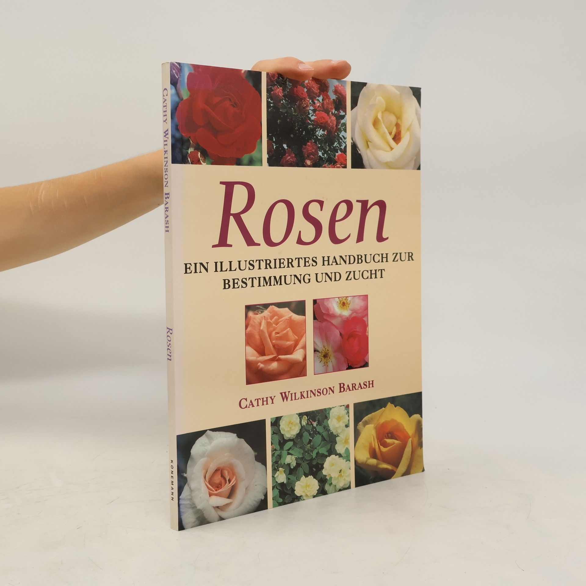 Cathy Wilkinson Barash Rosen