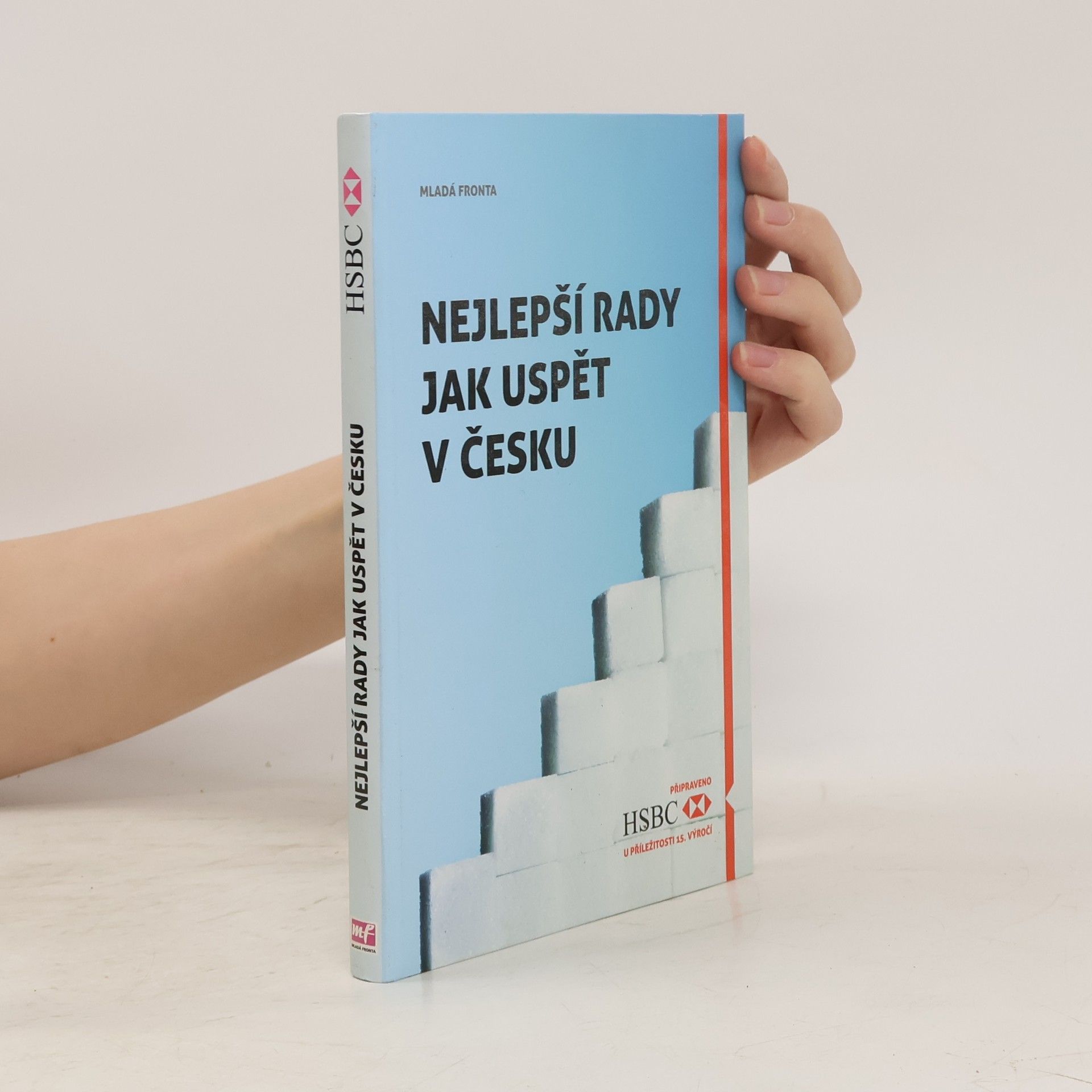 Autorenkollektiv Nejlepší rady jak uspět v Česku