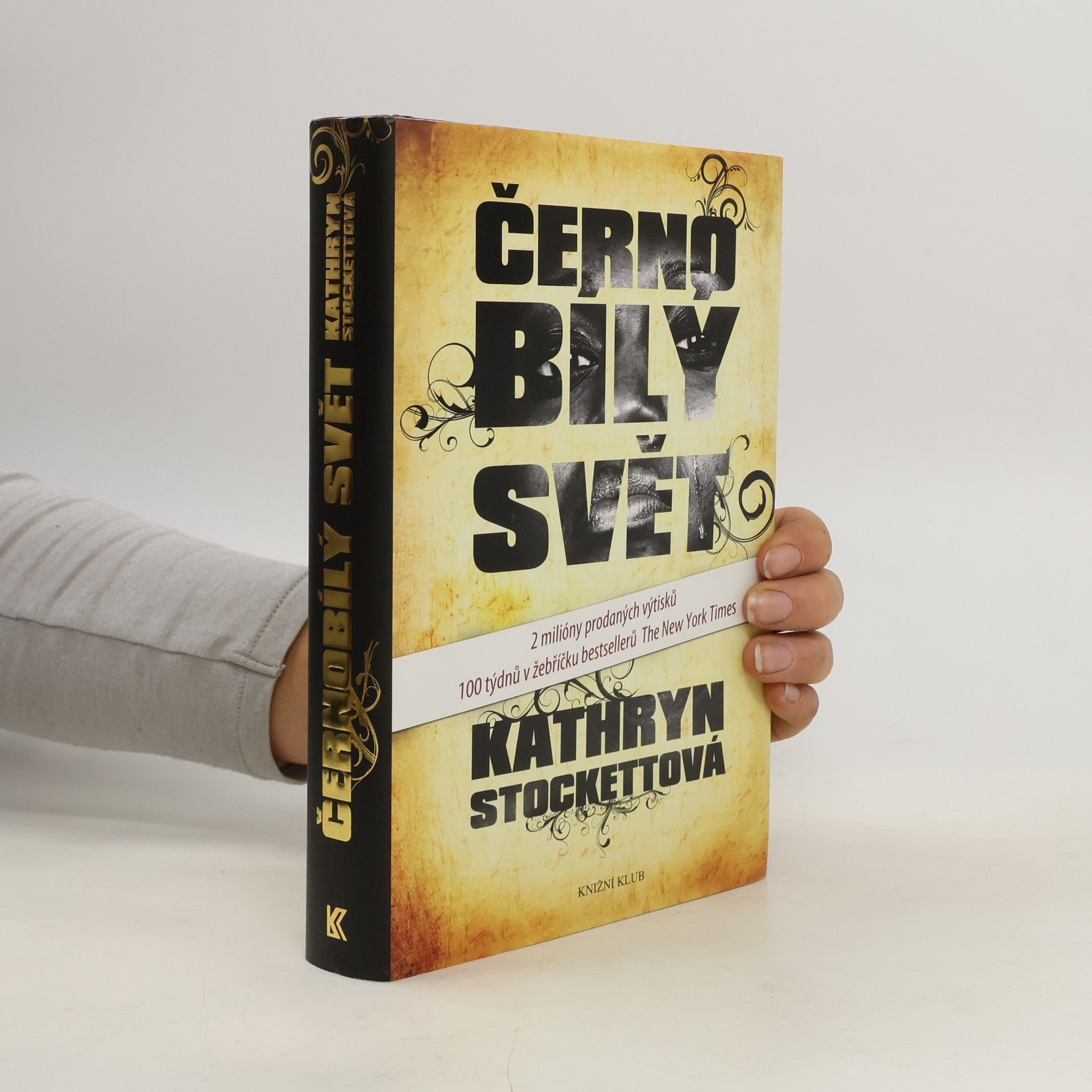 Kathryn Stockett Černobílý svět