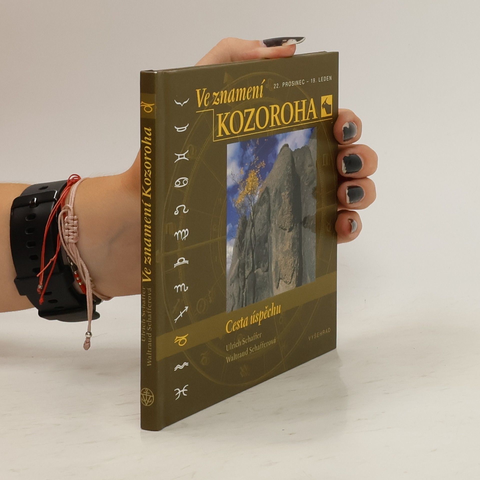 Ve znamení Kozoroha. Cesta úspěchu