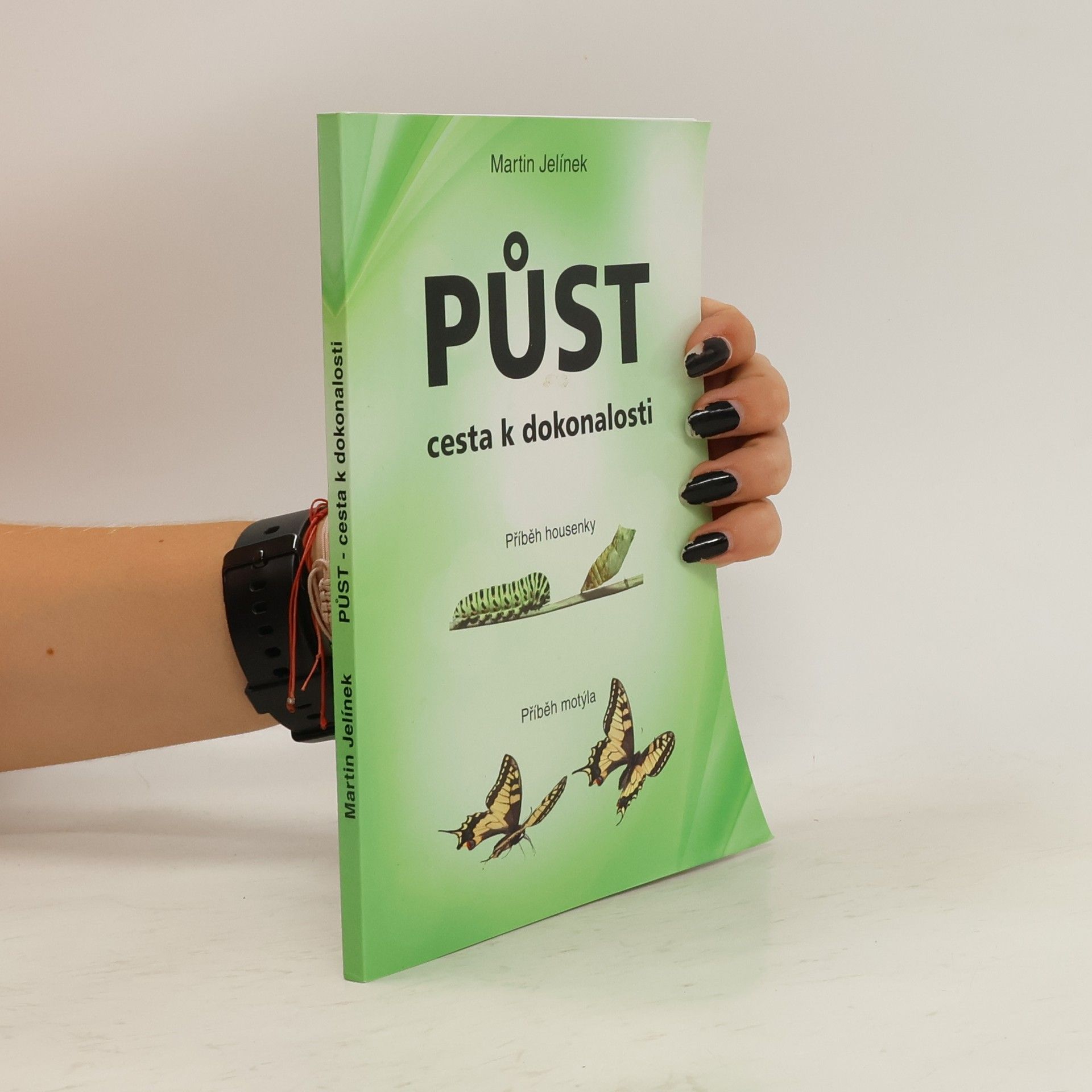 Jelínek Martin Půst - cesta k dokonalosti