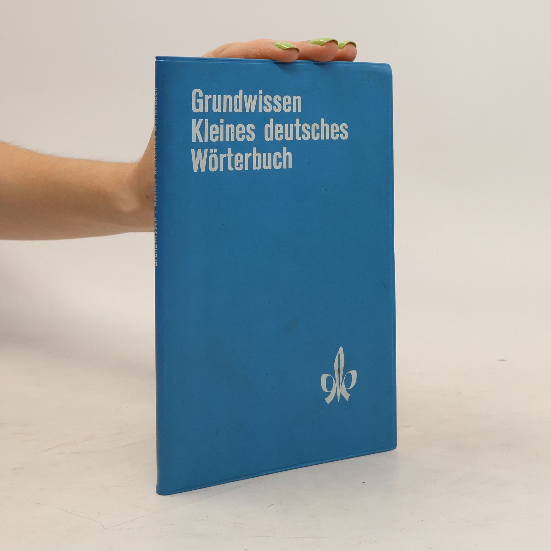Collectif d'auteurs Grundwissen Kleines deutsches Wörterbuch