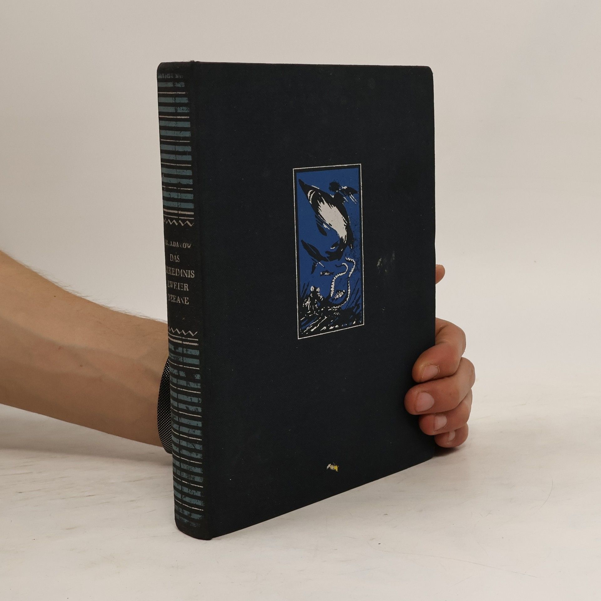 Das Geheimnis zweier Ozeane