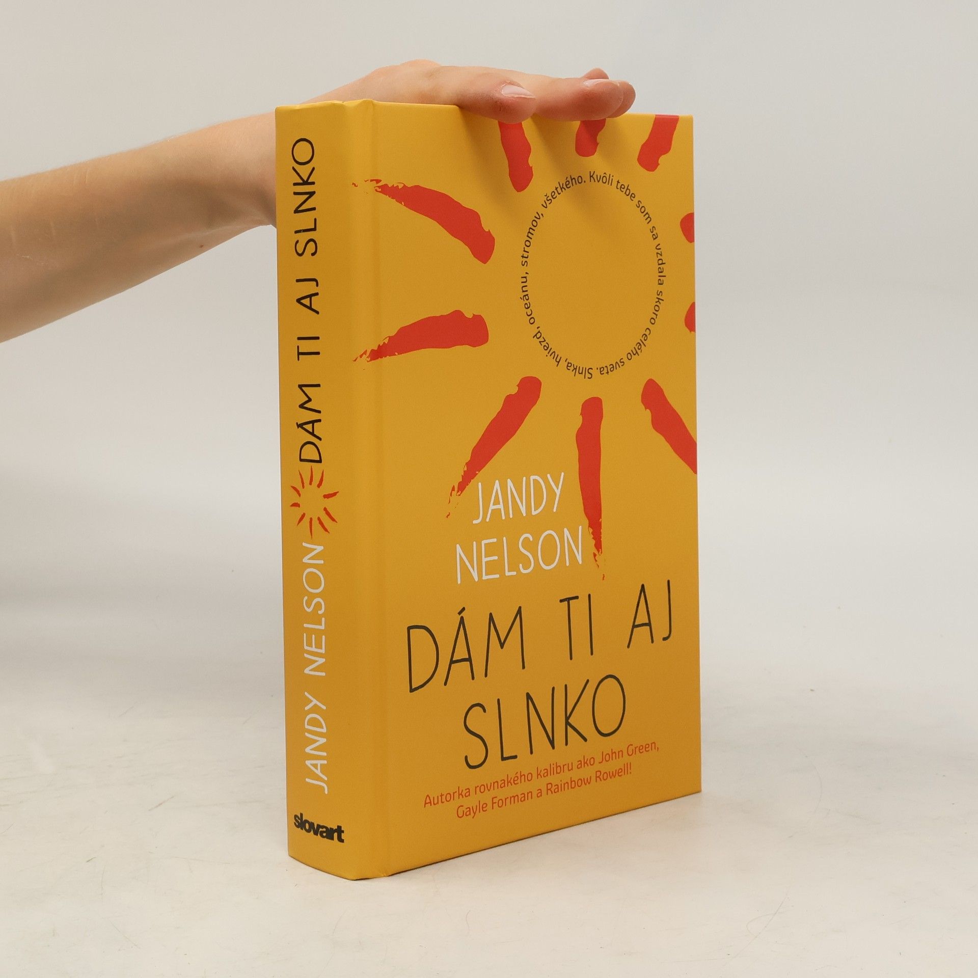 Jandy Nelson Dám ti aj slnko