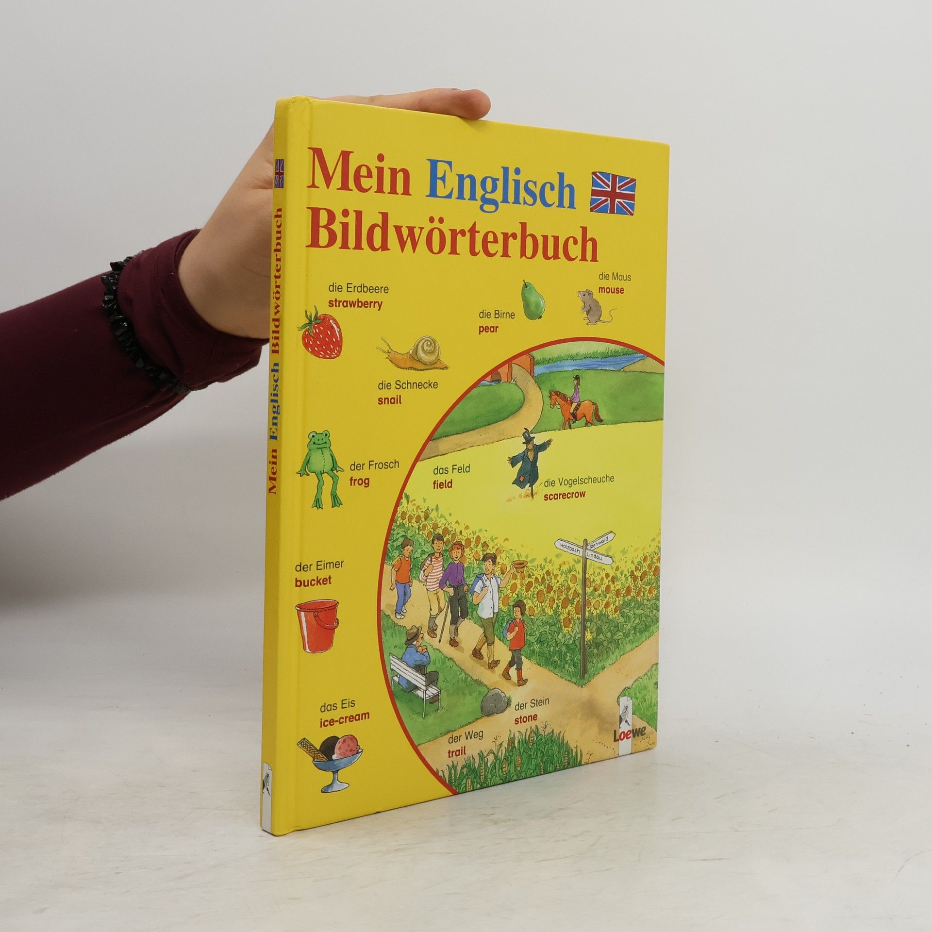 Angela Weinhold Mein Englisch-Bildwörterbuch