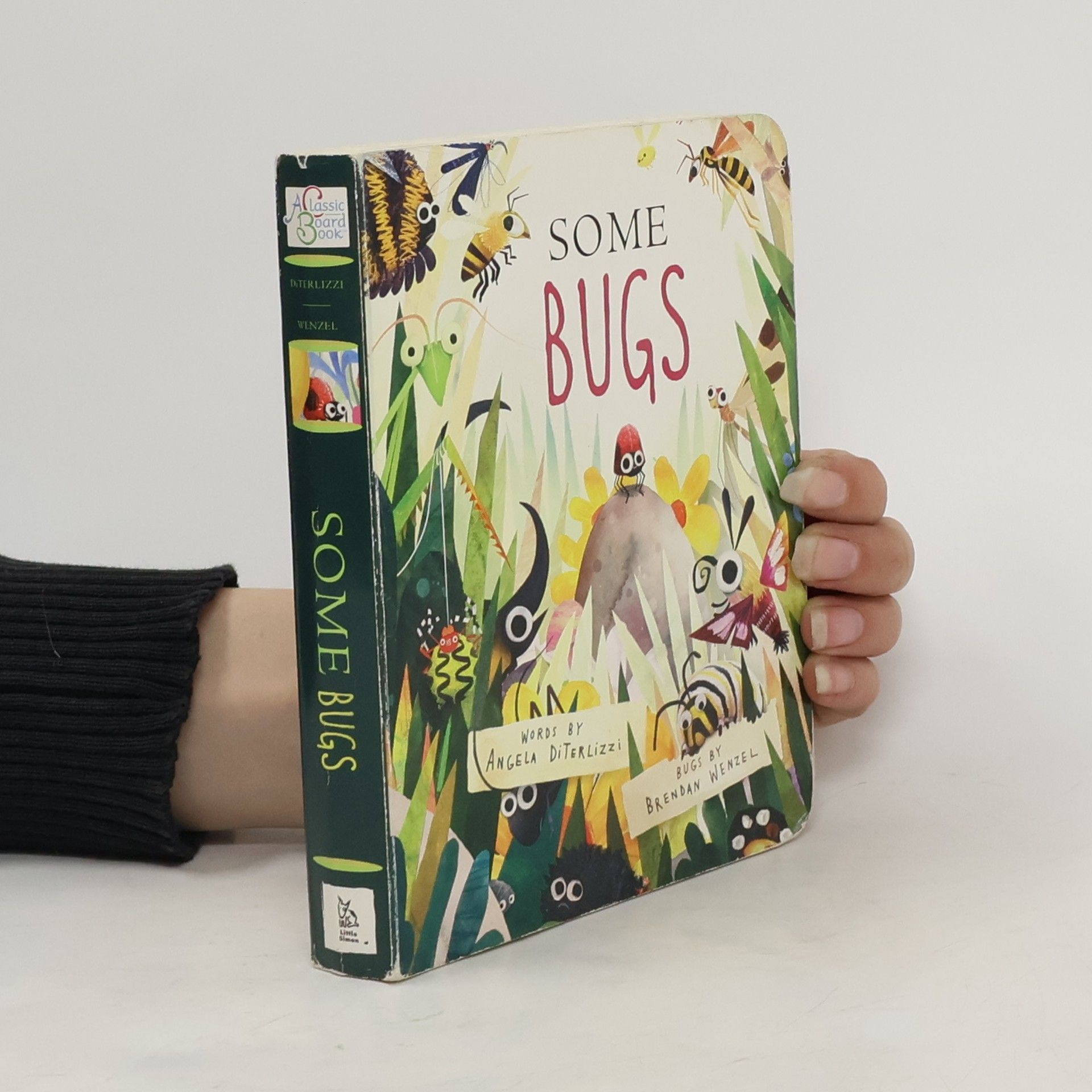 Angela Diterlizzi Some Bugs