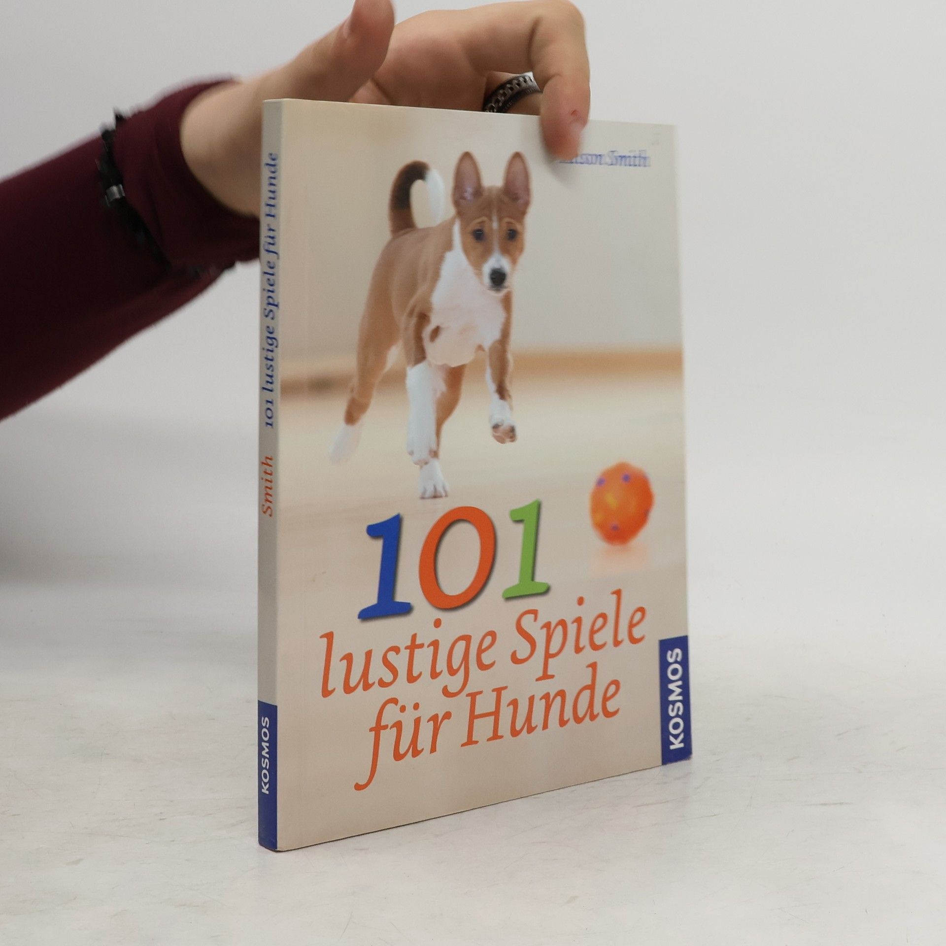 Alison Smith 101 lustige Spiele für Hunde