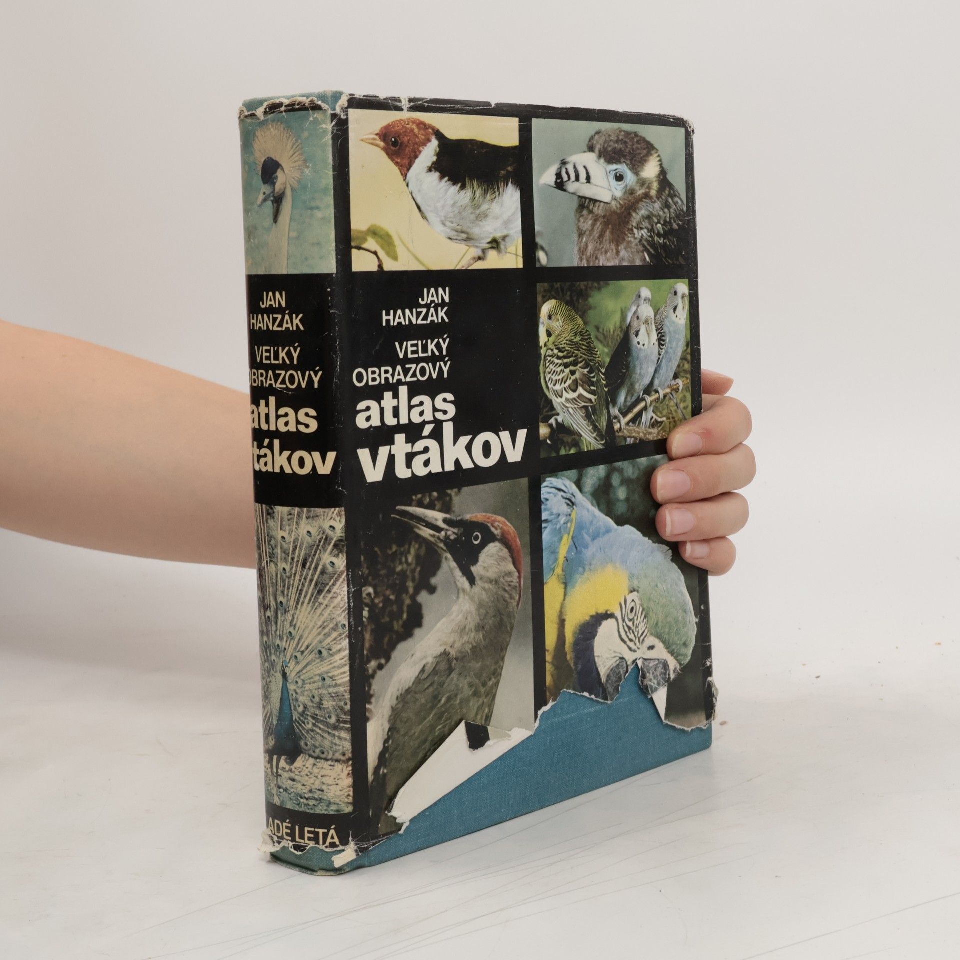 Jan Hanzák Veľký obrazový atlas vtákov