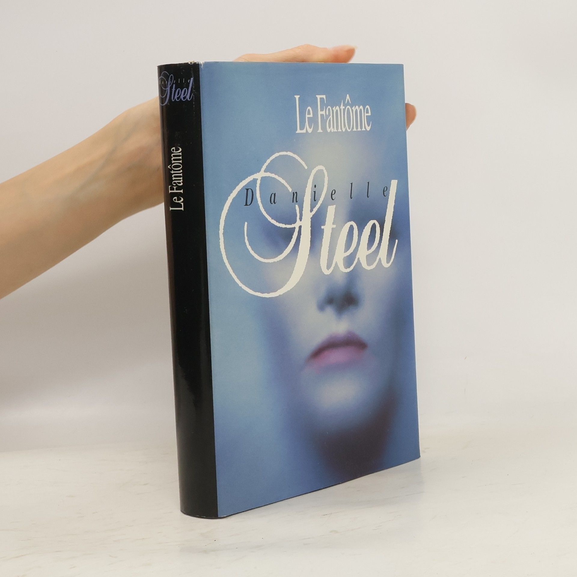 Danielle Steelová Le fantôme