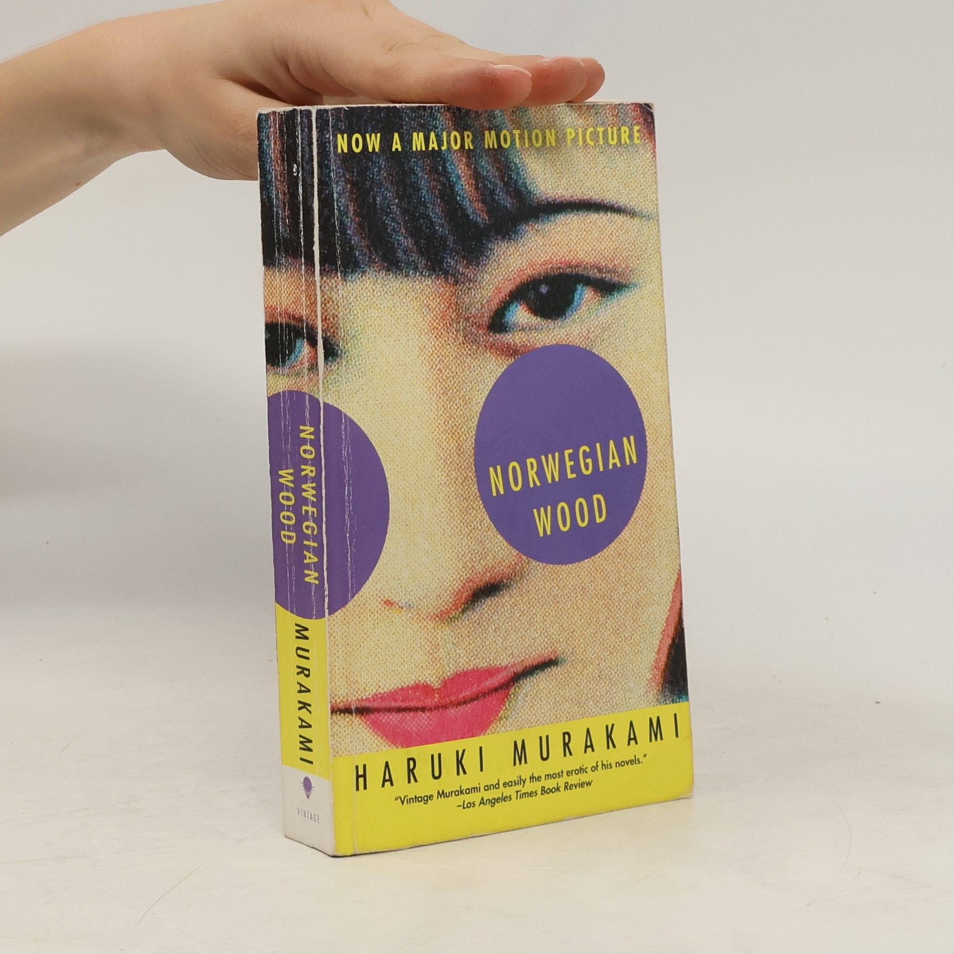 Haruki Murakami Norwegian Wood