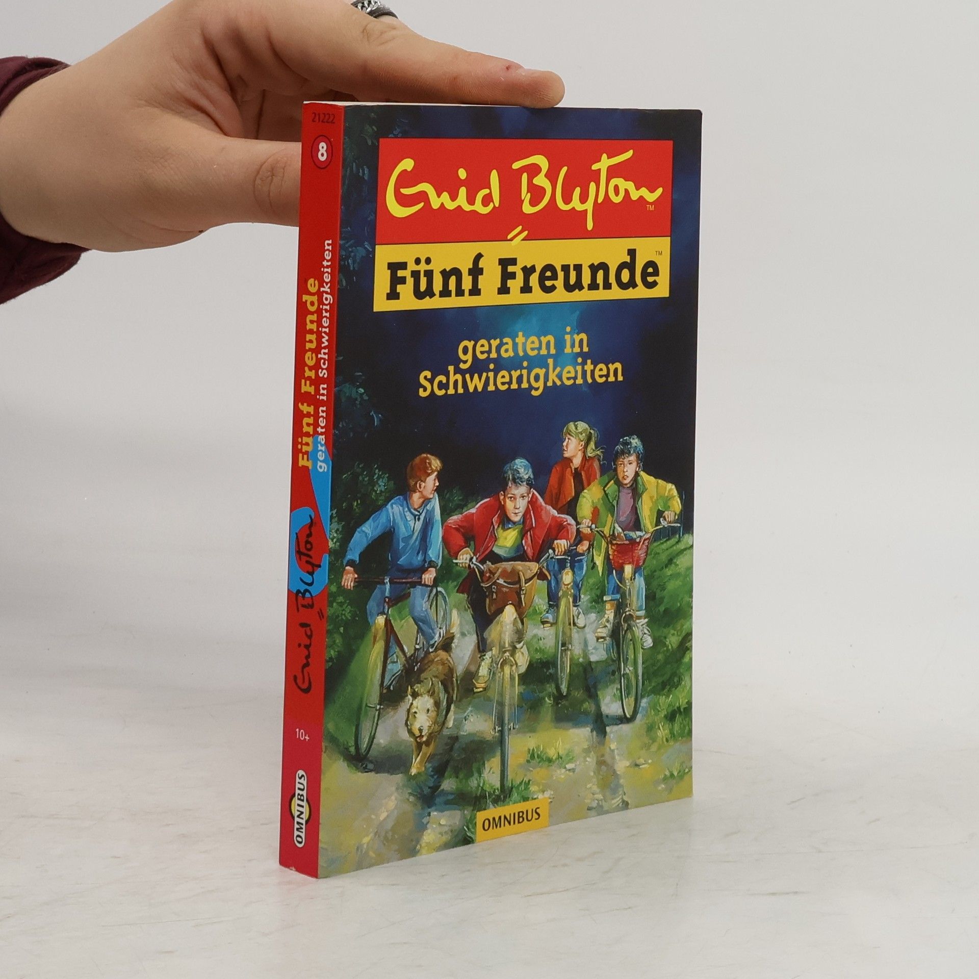 Enid Blyton Fünf Freunde geraten in Schwierigkeiten