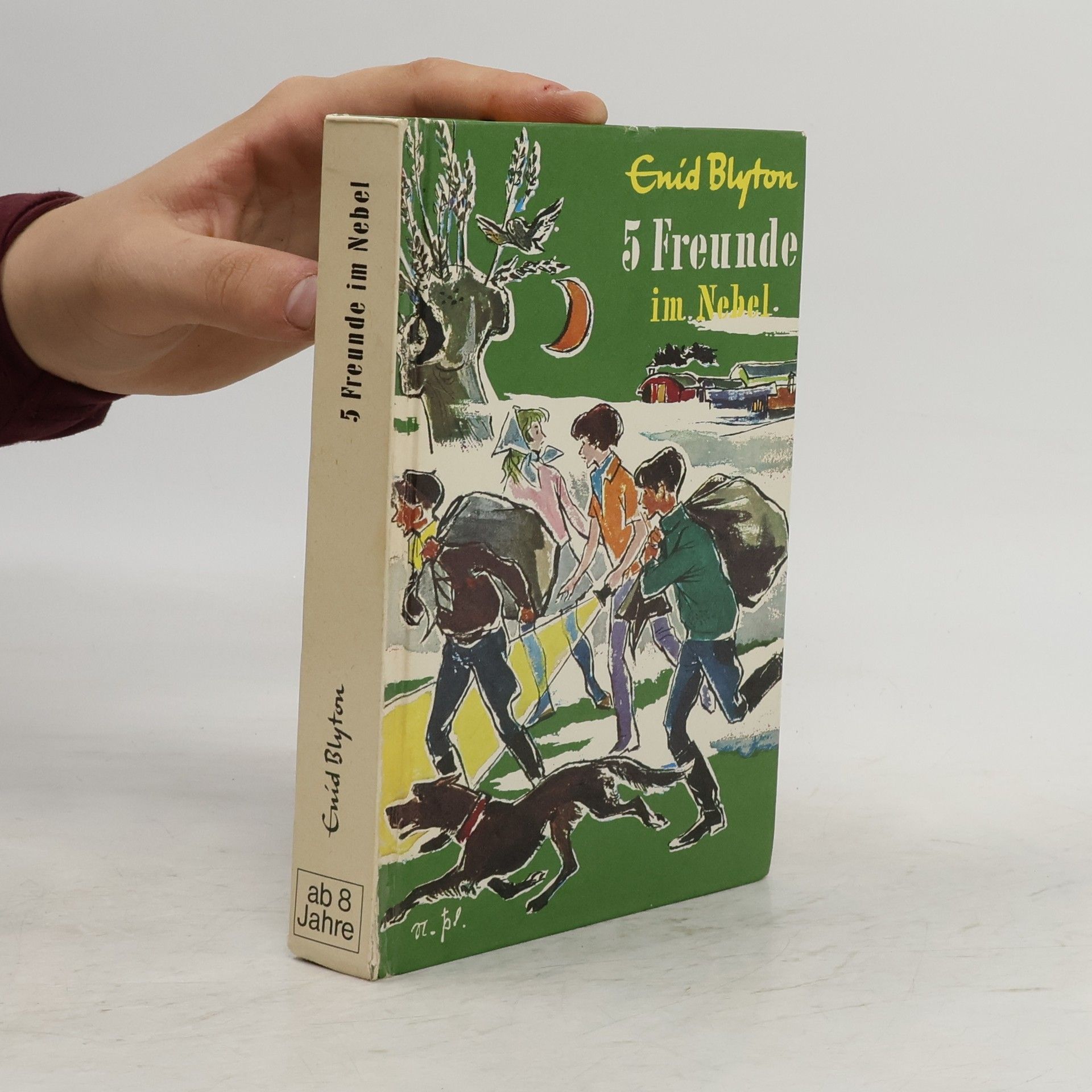 Enid Blyton 5 Freunde im Nebel