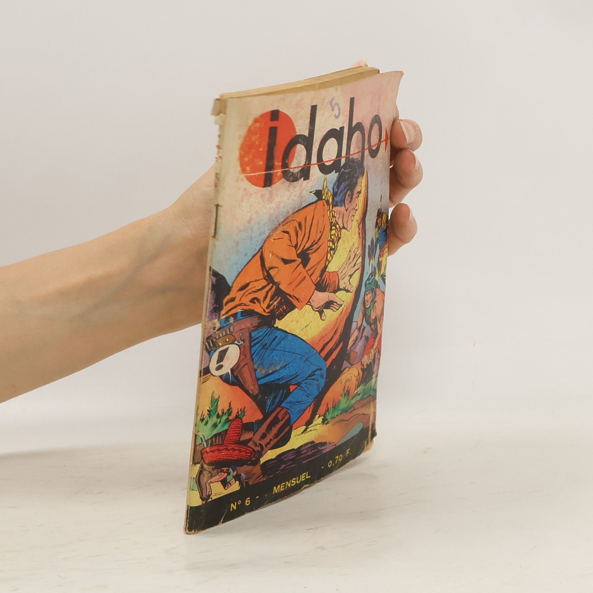 Collectif d'auteurs Idaho 6