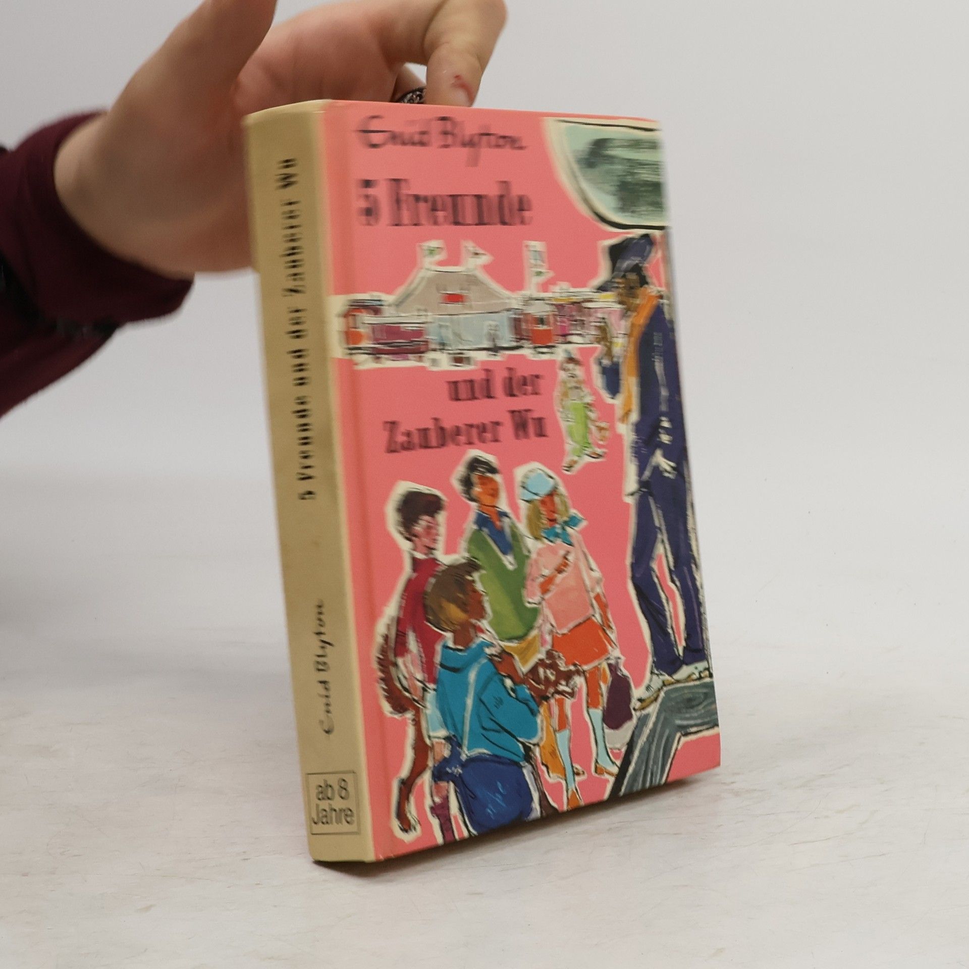 Enid Blyton 5 Freunde und der Zauberer Wu