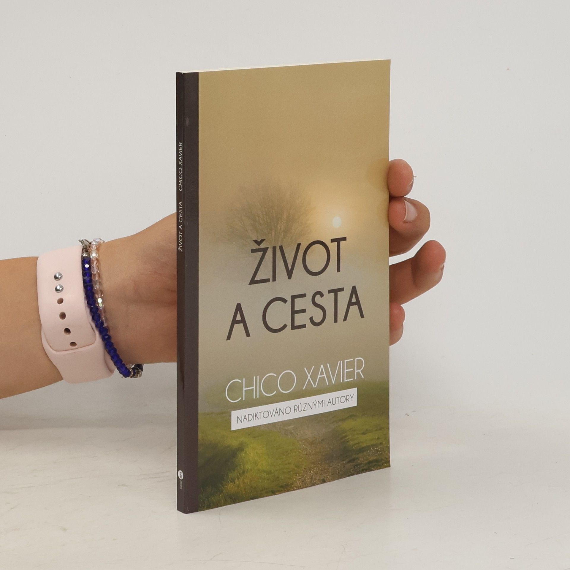 Francisco Cândido Xavier Život a cesta