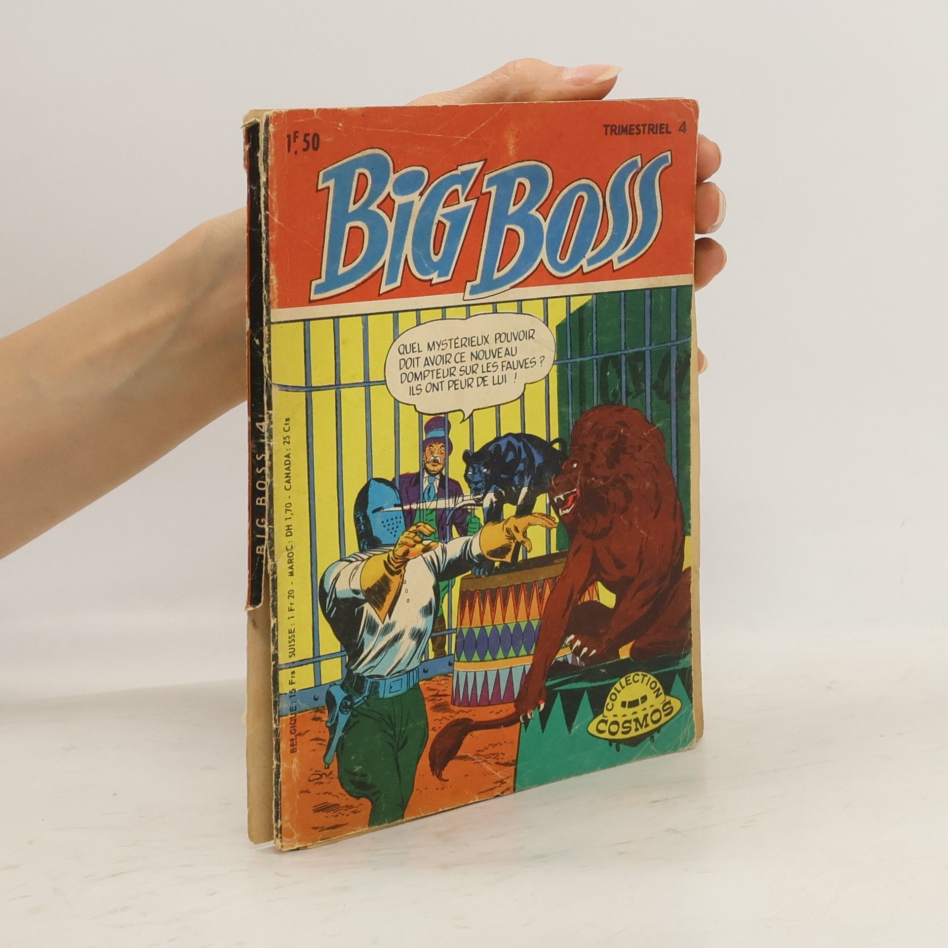 Collectif d'auteurs Big Boss 4