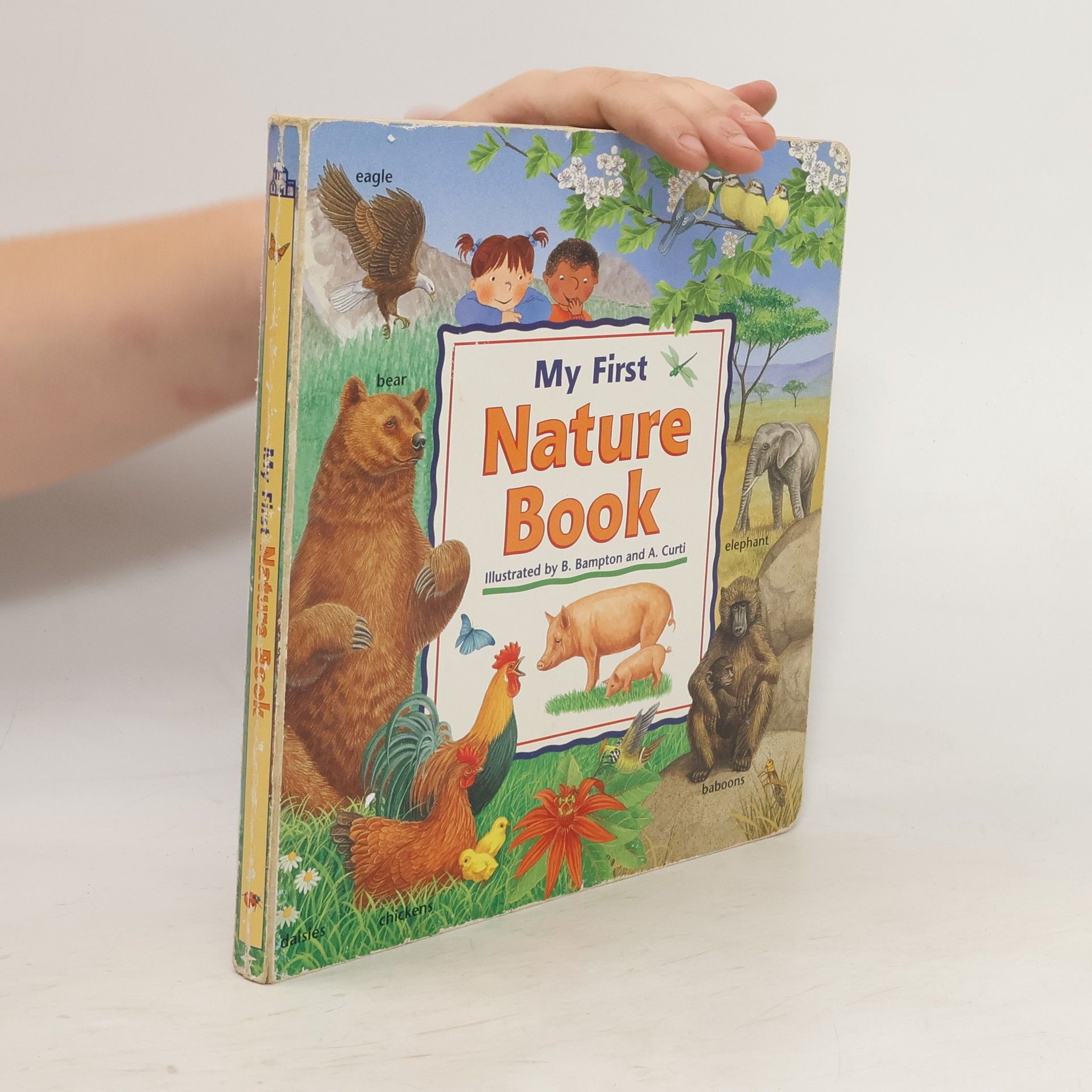 B. Bampton My First Nature Book