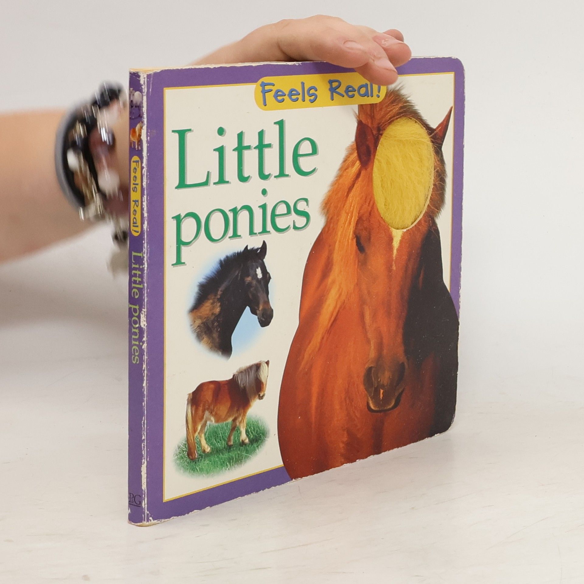 Christiane Gunzi Feels Real!: Little Ponies