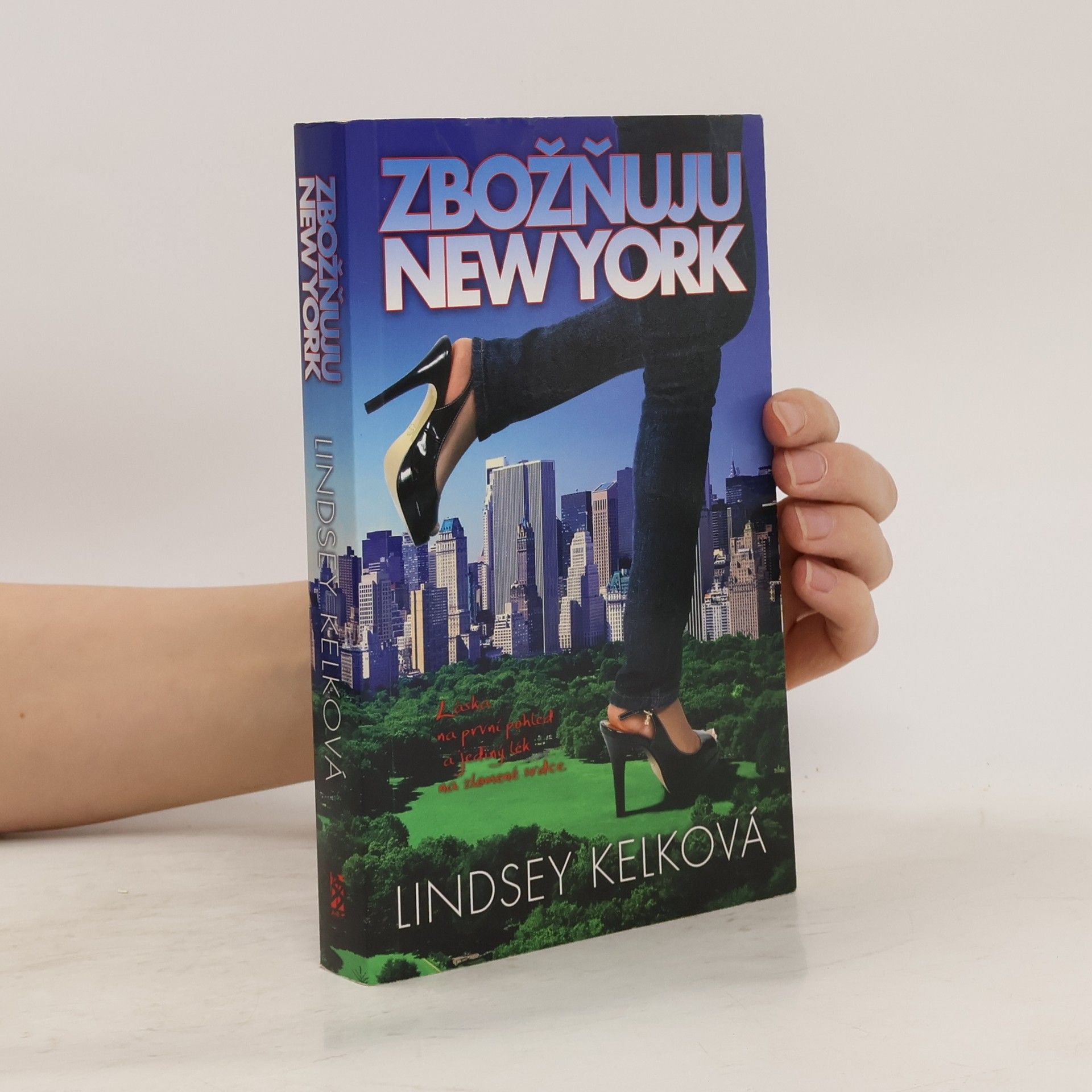 Lindsey Kelk Zbožňuju New York