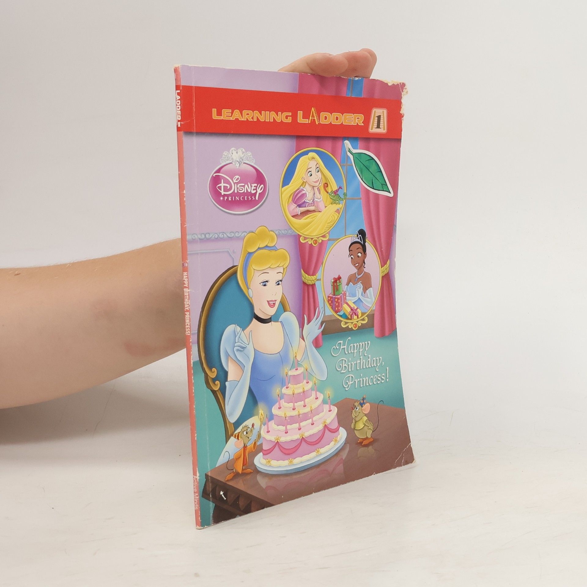 Various authors Happy Birthday Princess!