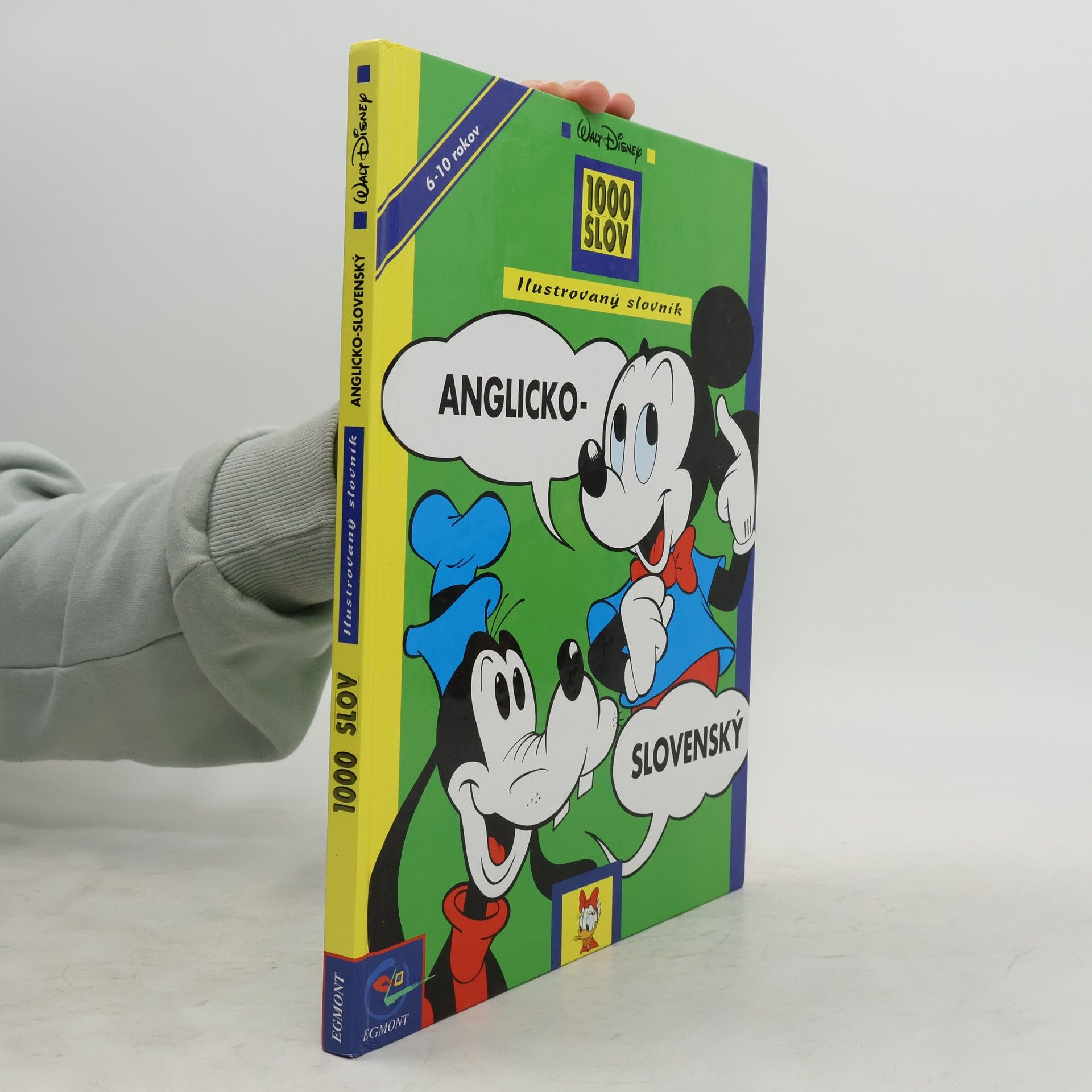 Kolektív autorov Ilustrovaný slovník anglicko-slovenský